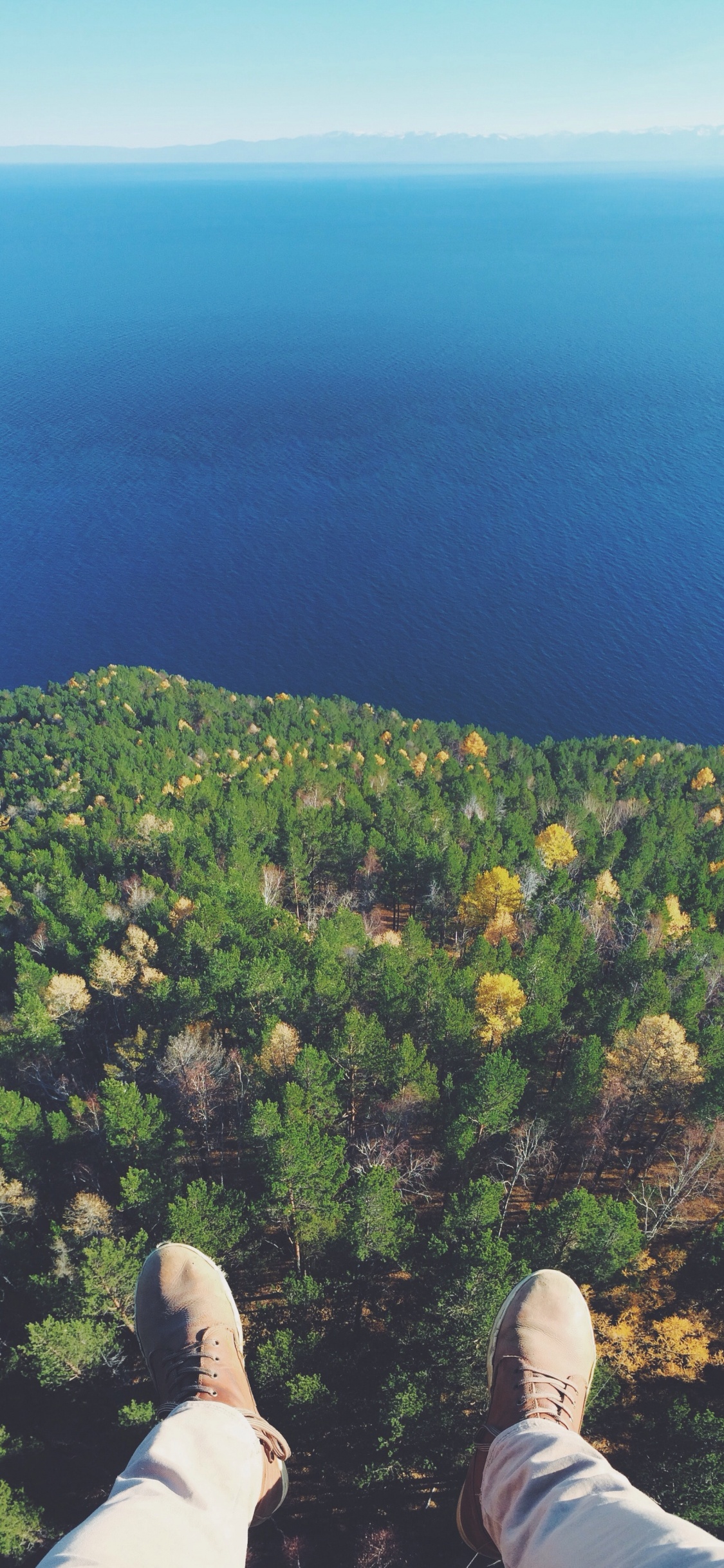 Обои растительность, холм, хребет, гора, дерево в разрешении 1125x2436