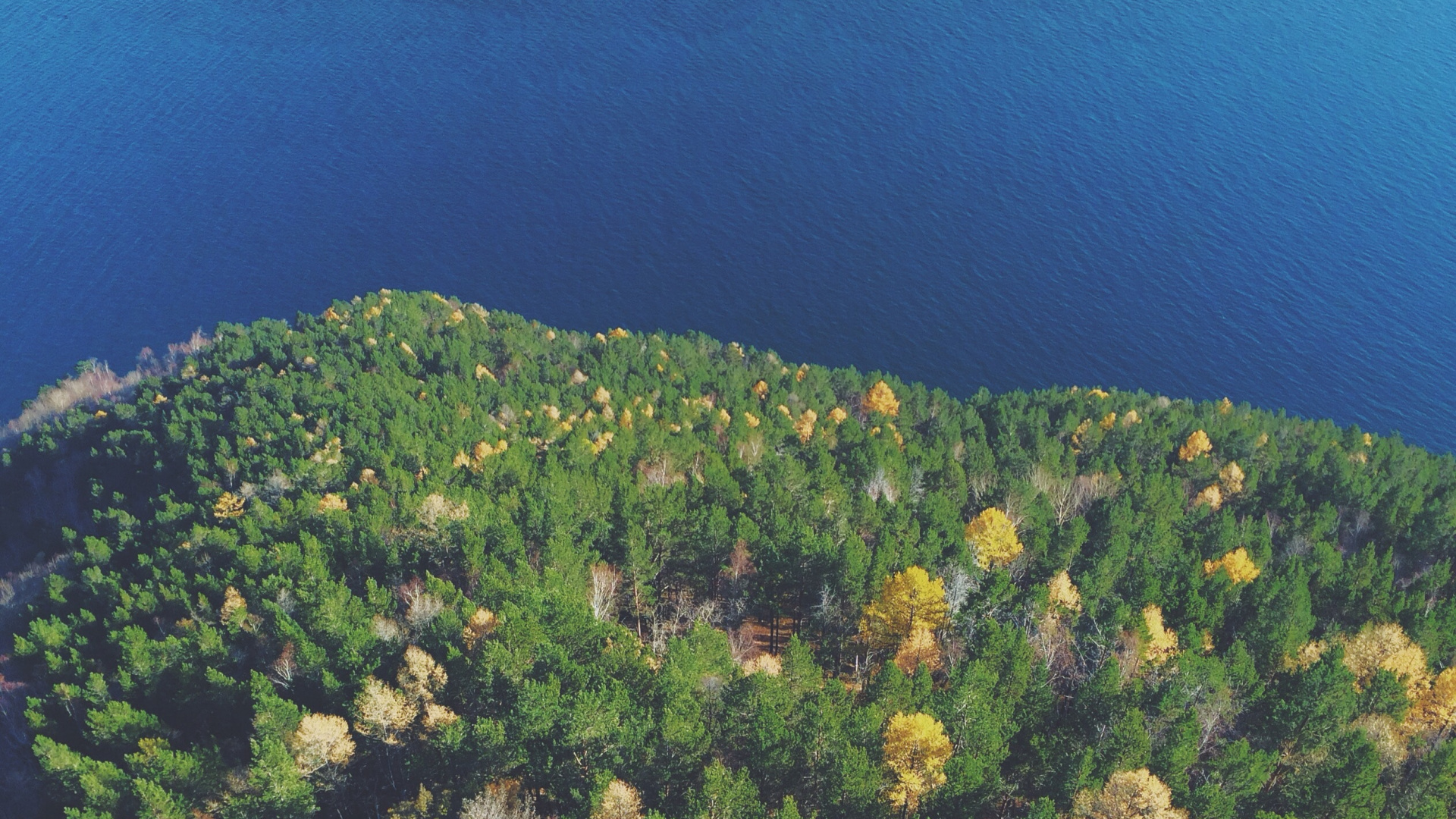 Обои растительность, холм, хребет, гора, дерево в разрешении 1920x1080