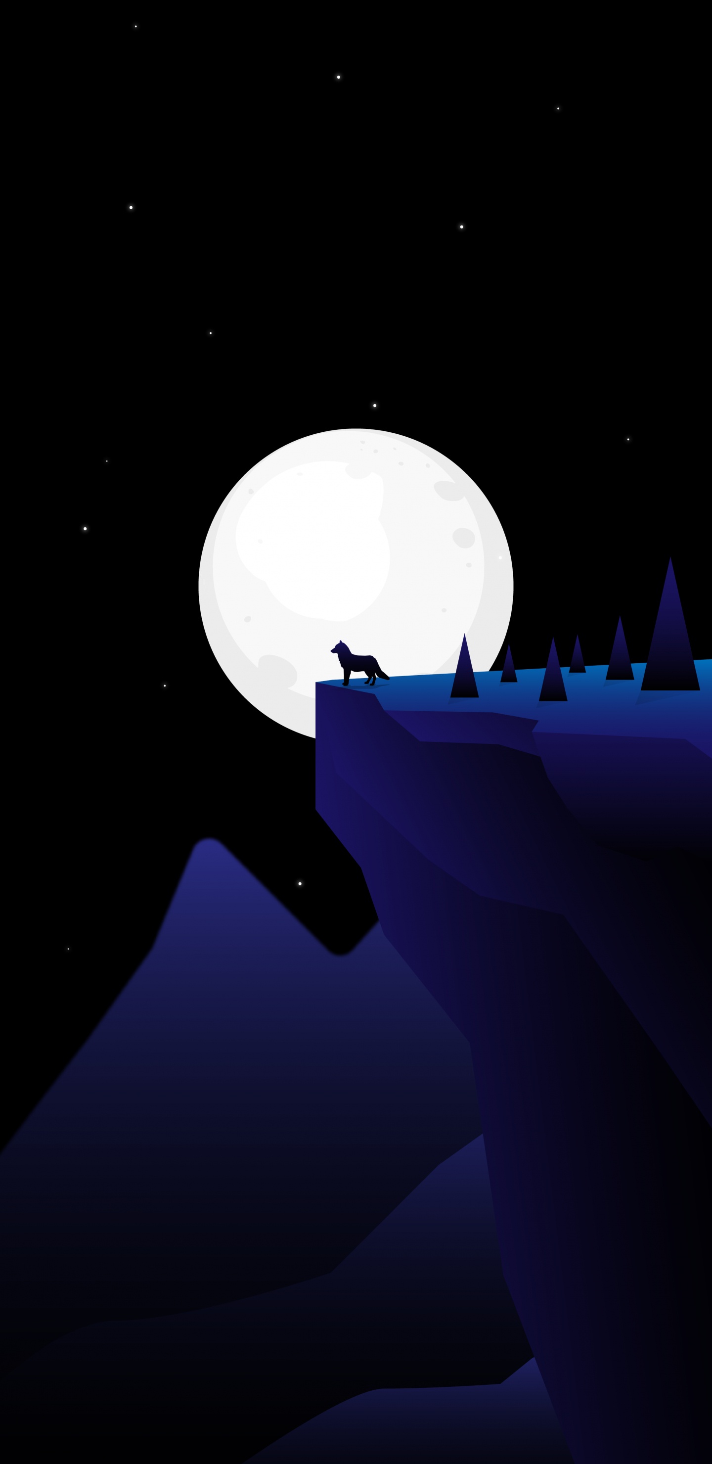 Обои ночь, атмосфера, астрономический объект, небесное явление, космос в разрешении 1440x2960