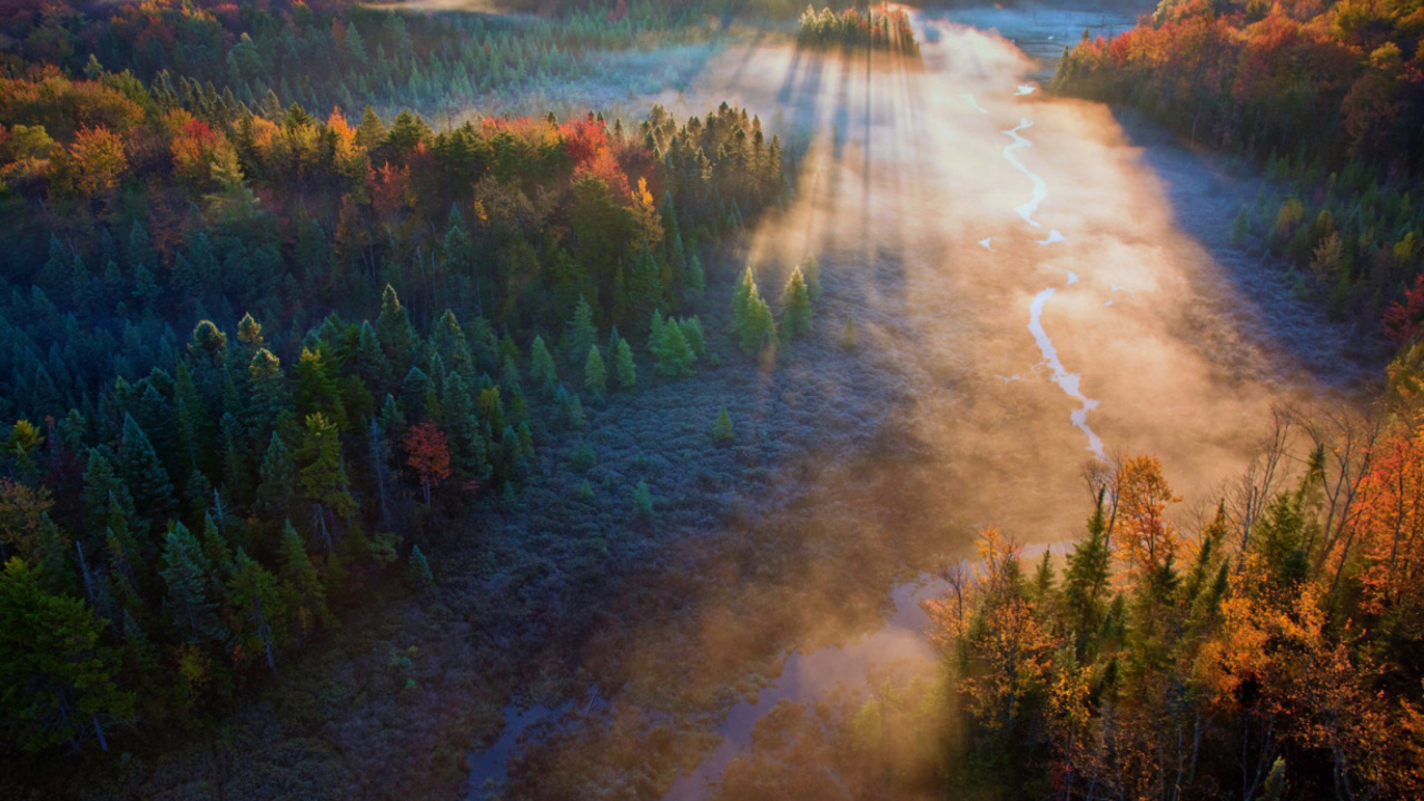 Обои Зеленая Гора Национальный Лес, гора, природа, утро, реки в разрешении 1280x720