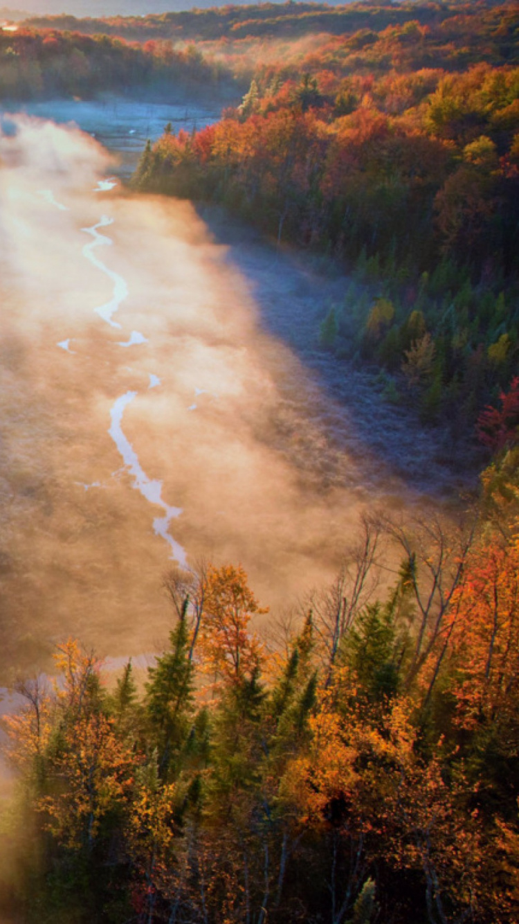 Обои Зеленая Гора Национальный Лес, гора, природа, утро, реки в разрешении 750x1334