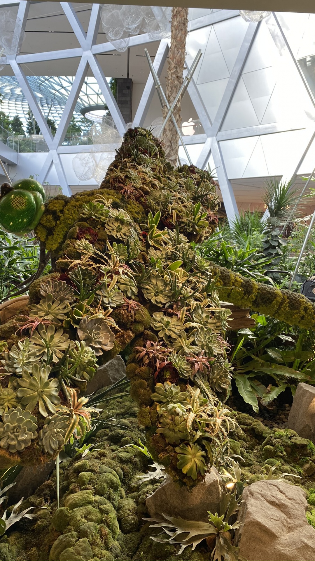 Обои теплица, биология, наука, ботаники, наземное растение в разрешении 1080x1920