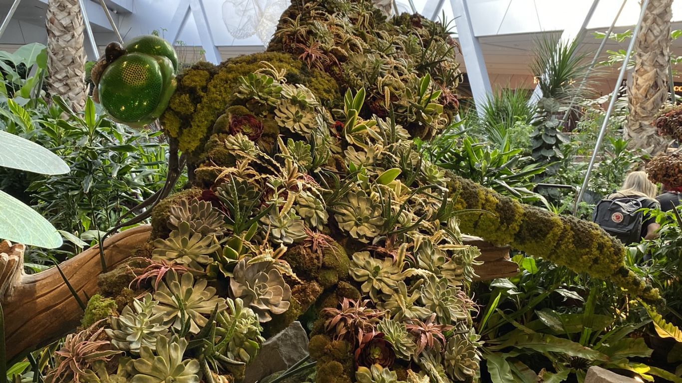 Обои теплица, биология, наука, ботаники, наземное растение в разрешении 1366x768