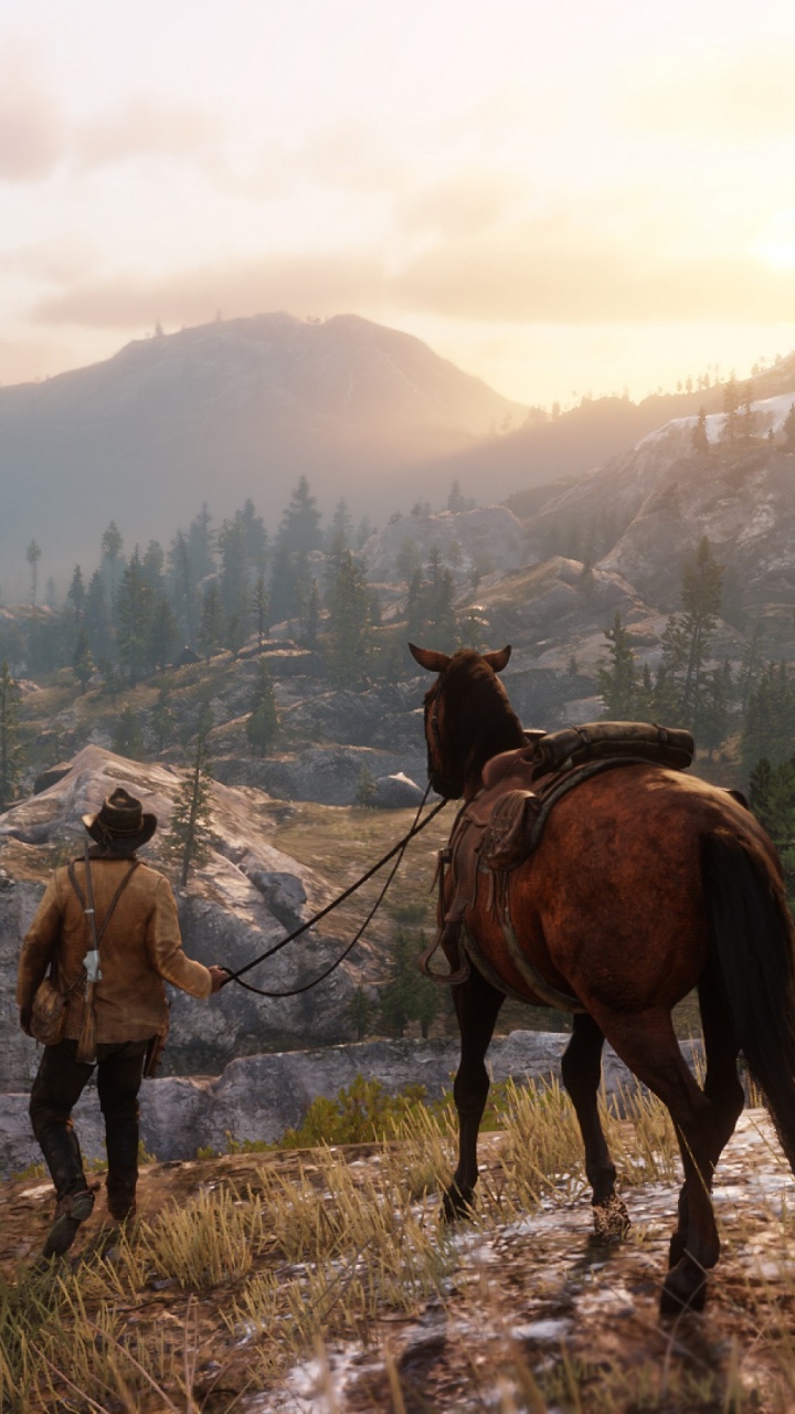 Обои red dead redemption 2, red dead redemption, grand theft auto v, Красный Мертвых Онлайн, Рокстар игры в разрешении 720x1280