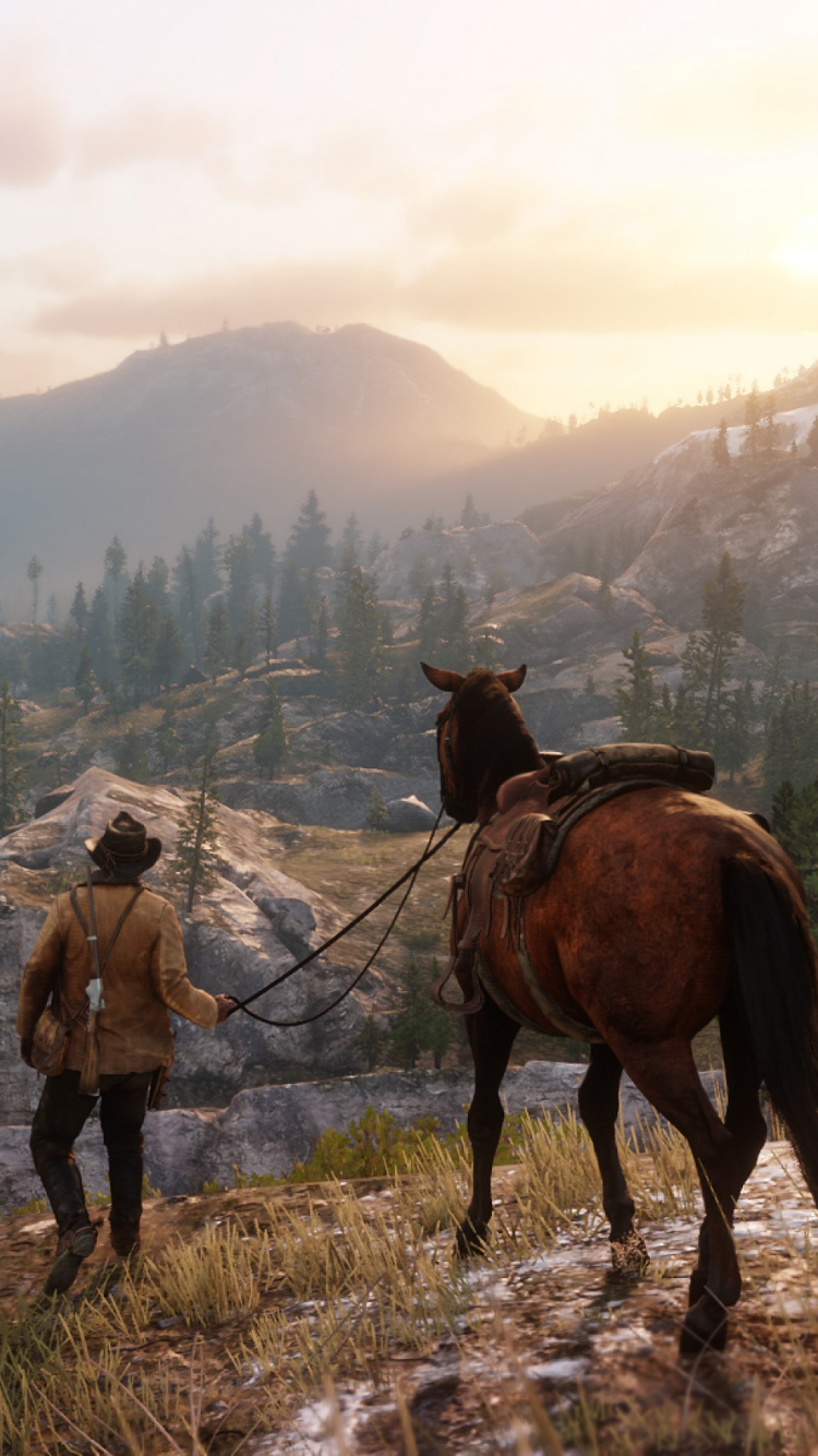 Обои red dead redemption 2, red dead redemption, grand theft auto v, Красный Мертвых Онлайн, Рокстар игры в разрешении 750x1334