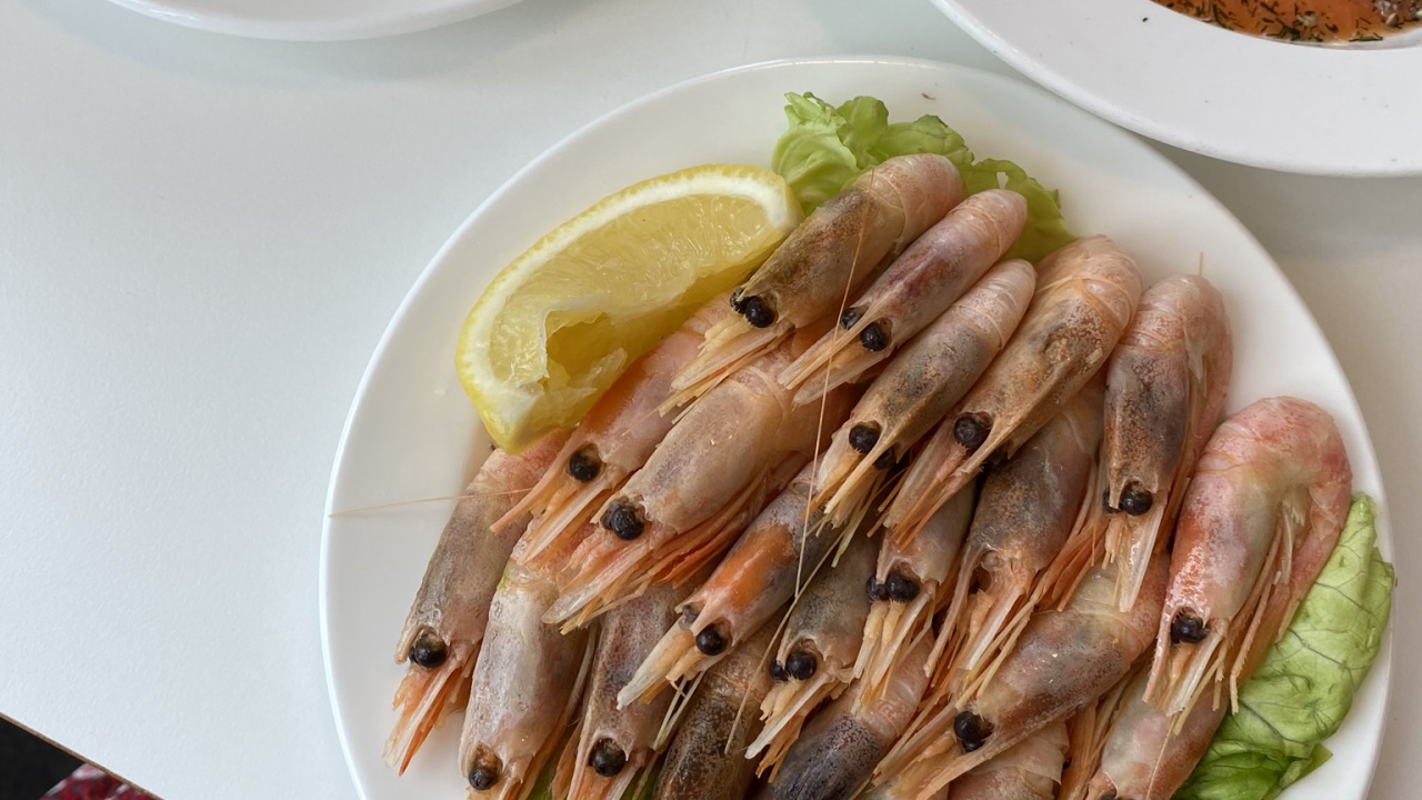 Обои рыба, блюда, биология, наука, пища в разрешении 1280x720