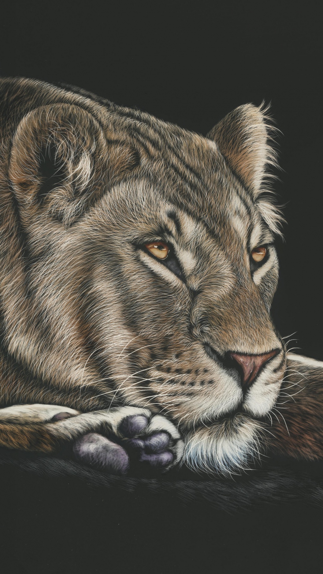 Обои Лев, рисование, живая природа, кошачьих, наземные животные в разрешении 1080x1920