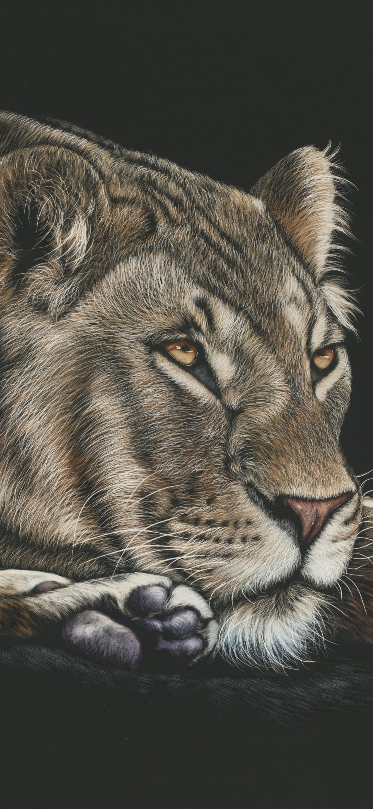 Обои Лев, рисование, живая природа, кошачьих, наземные животные в разрешении 1242x2688