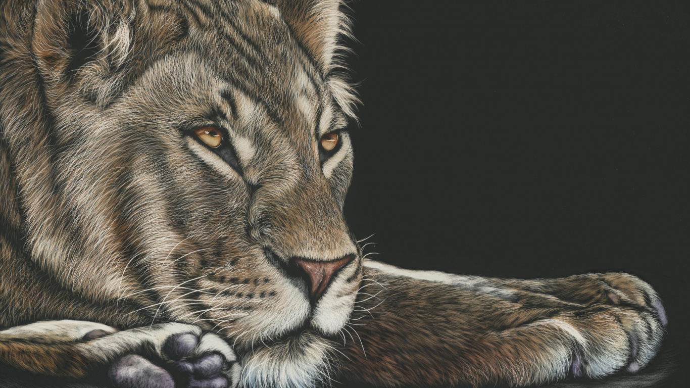 Обои Лев, рисование, живая природа, кошачьих, наземные животные в разрешении 1366x768