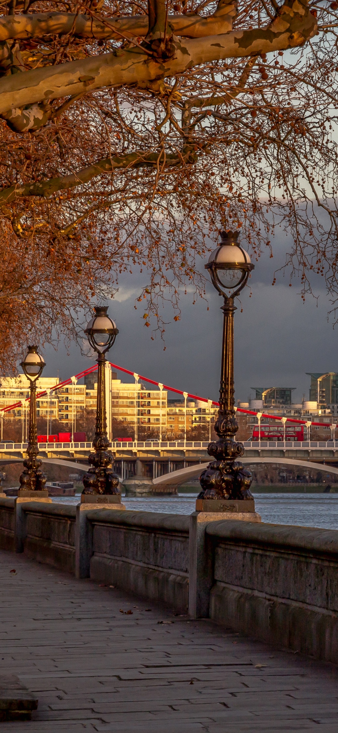 Обои река темза, тауэрский мост, Мост Челси, город, уличный фонарь в разрешении 1125x2436