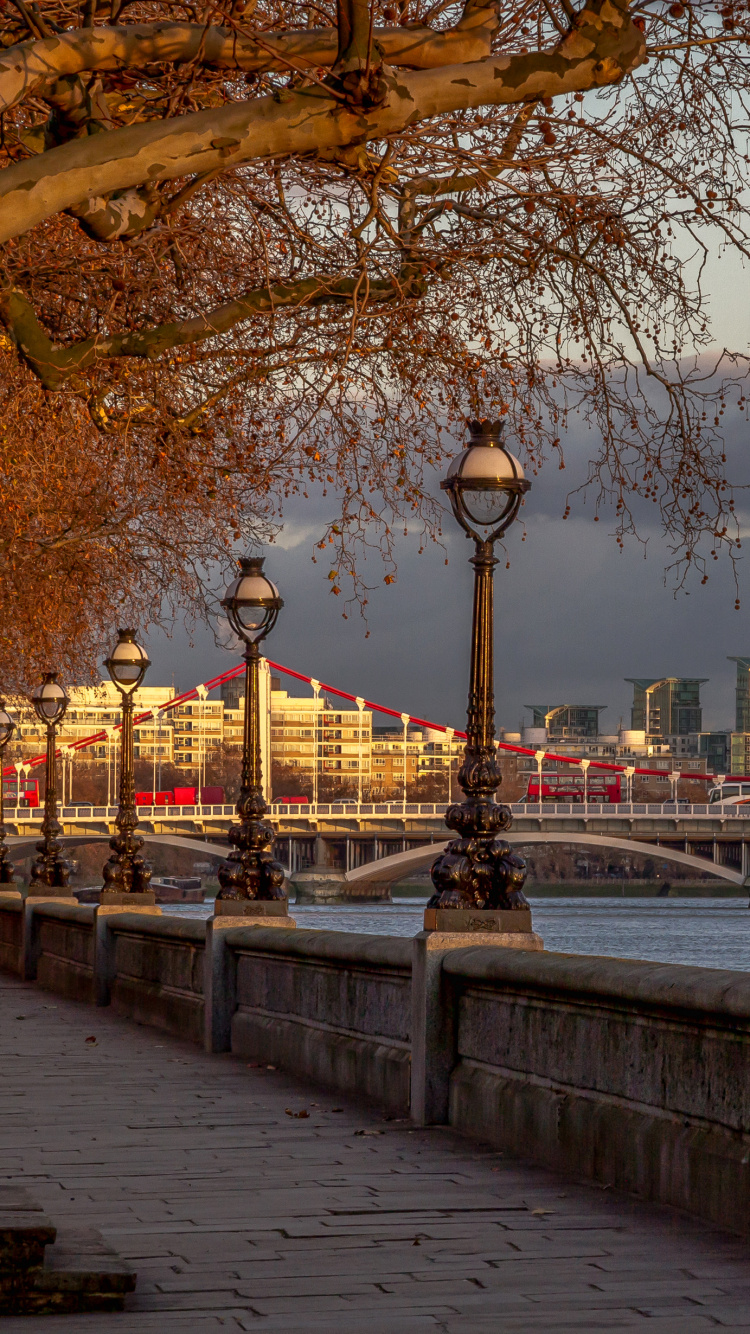 Обои река темза, тауэрский мост, Мост Челси, город, уличный фонарь в разрешении 750x1334