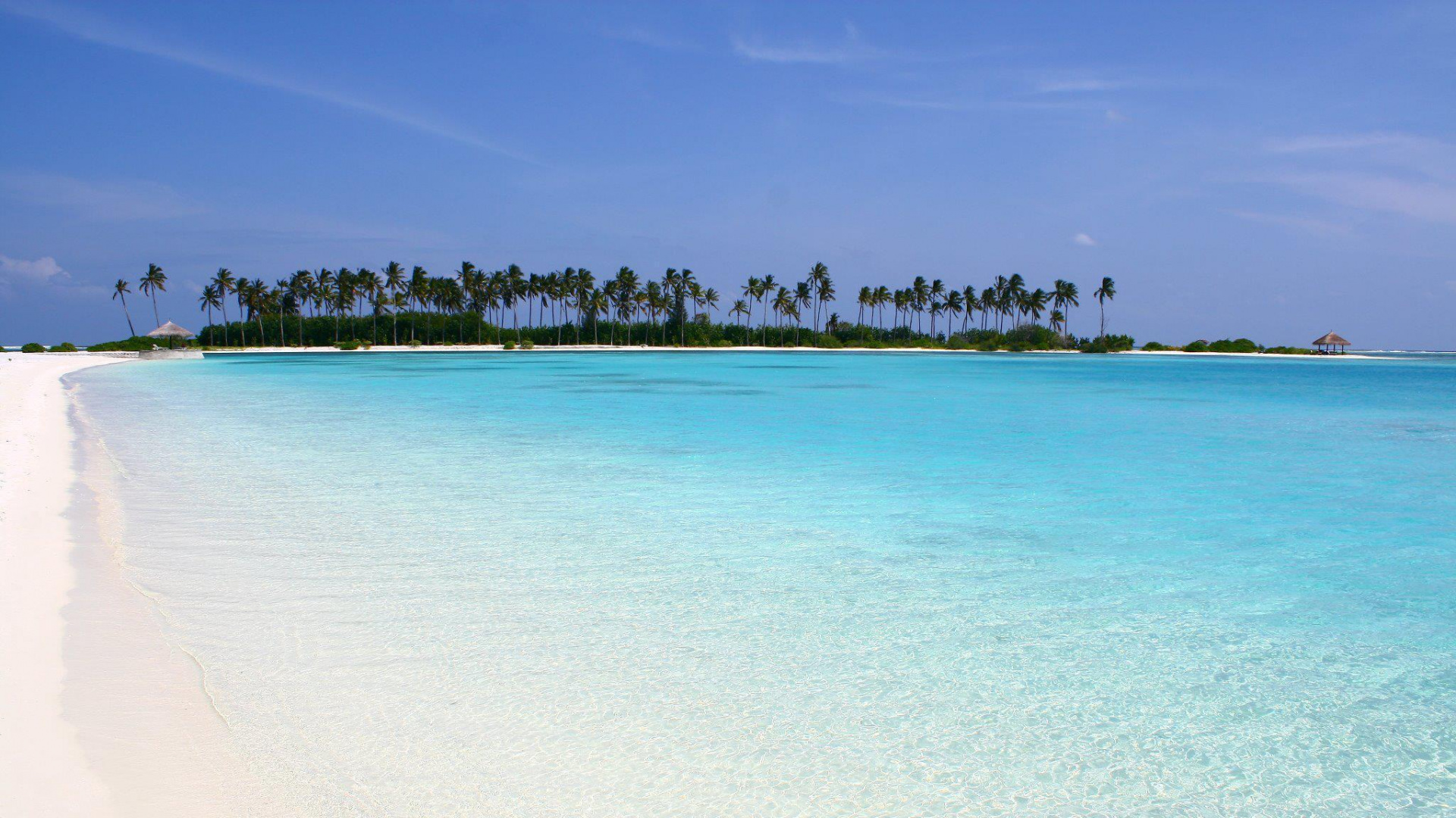 Обои пляж, море, водоем, тропическая зона, океан в разрешении 1920x1080