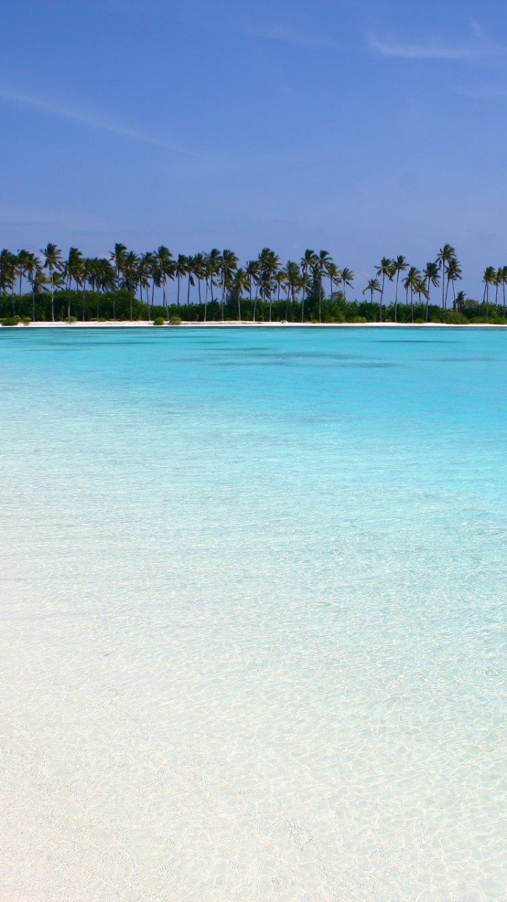Обои пляж, море, водоем, тропическая зона, океан в разрешении 720x1280