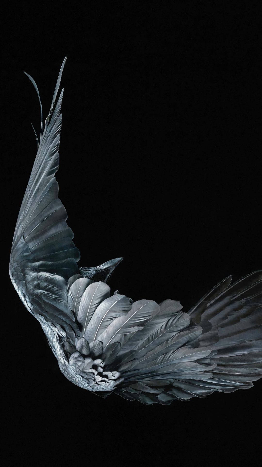 Обои искусство умирающих пороков, голова, растение, жест, мифическое существо в разрешении 1080x1920