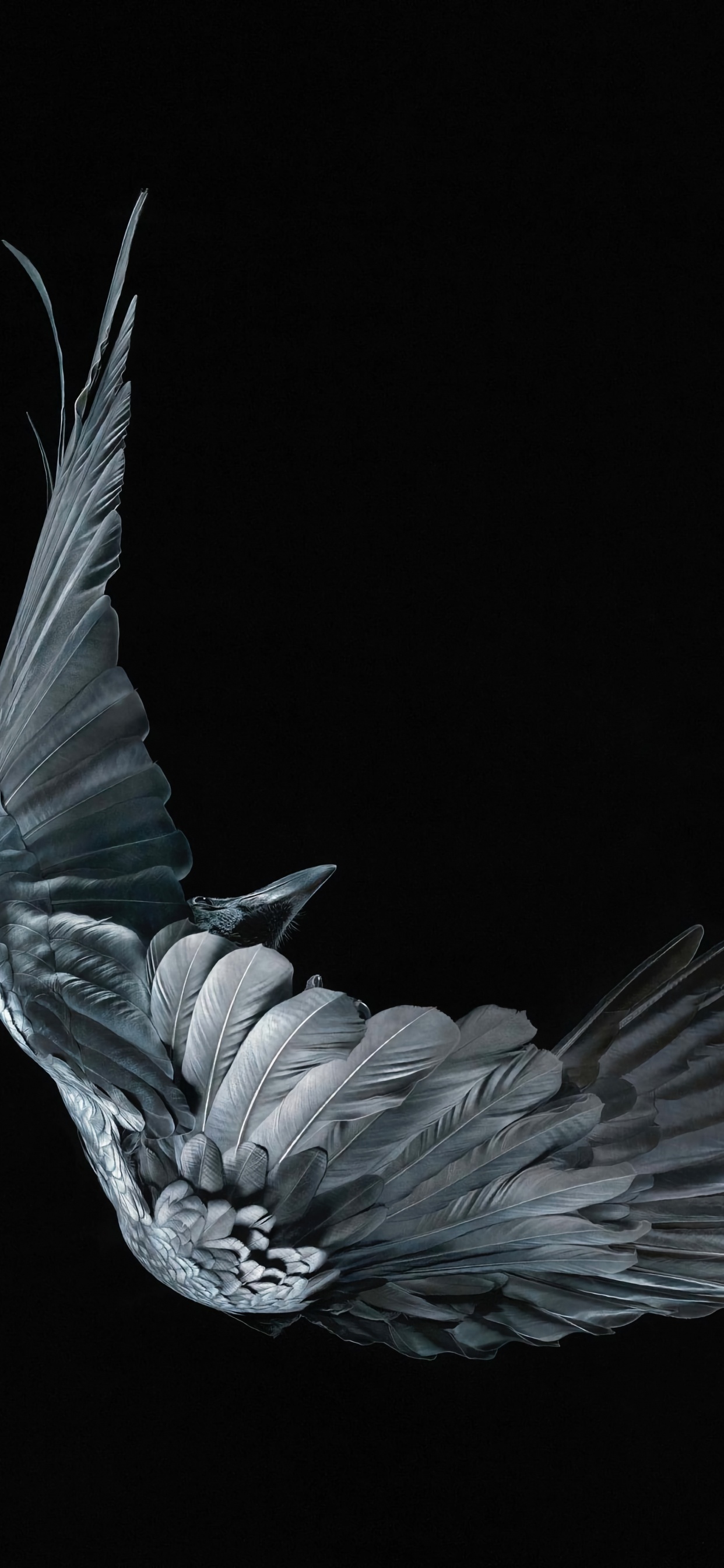 Обои искусство умирающих пороков, голова, растение, жест, мифическое существо в разрешении 1242x2688