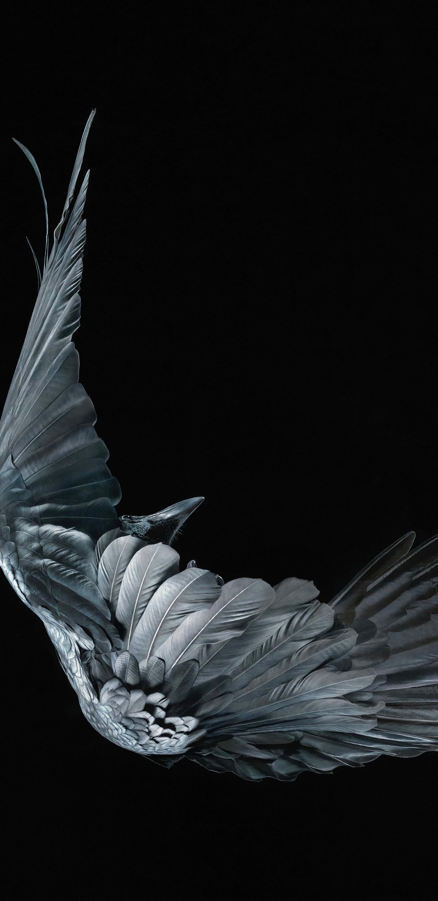 Обои искусство умирающих пороков, голова, растение, жест, мифическое существо в разрешении 1440x2960