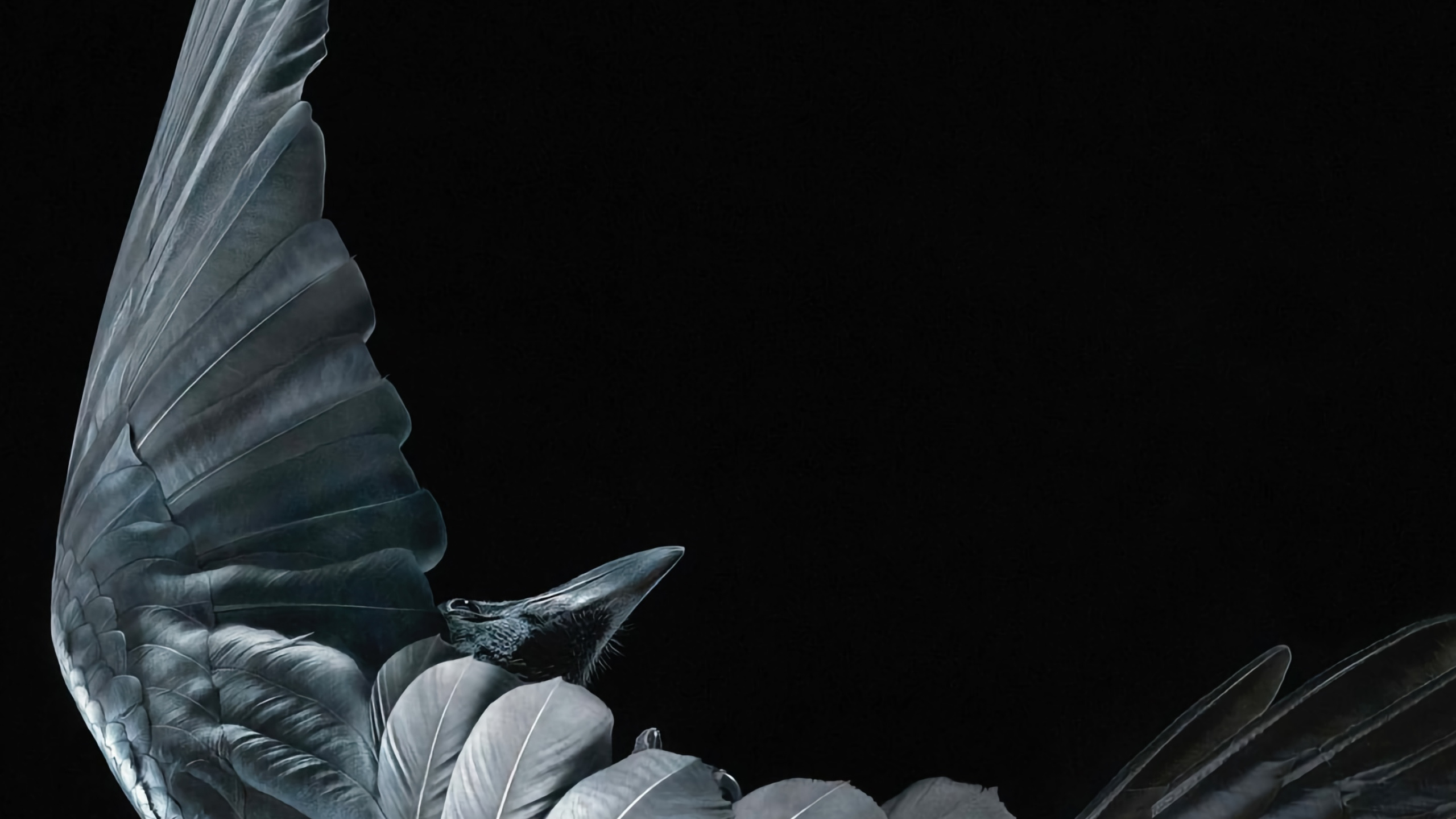 Обои искусство умирающих пороков, голова, растение, жест, мифическое существо в разрешении 2560x1440