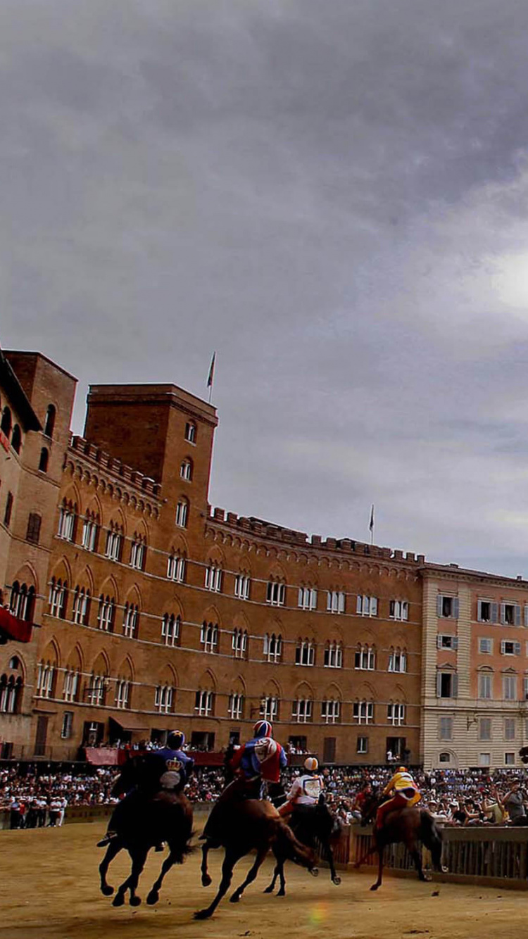 Обои Палаццо Пубблико, конь, Палио ди Сиена, городская площадь, город в разрешении 750x1334