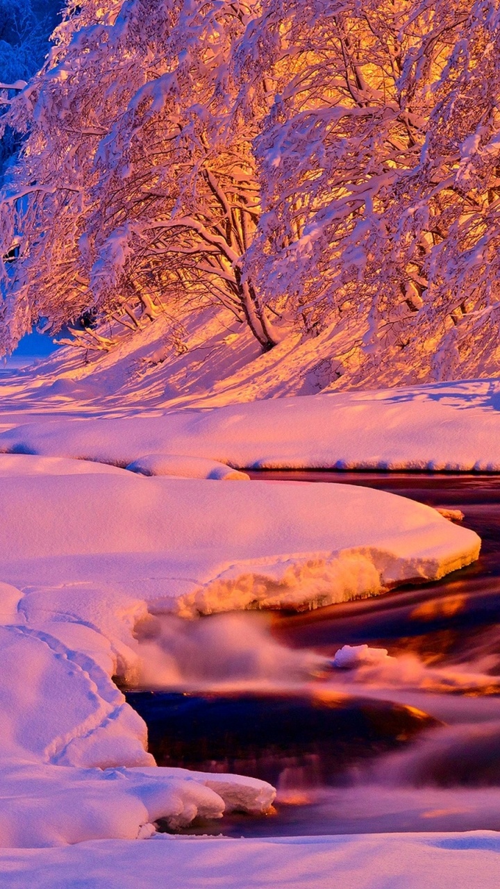 Обои снег, зима, закат, природа, замораживание в разрешении 720x1280