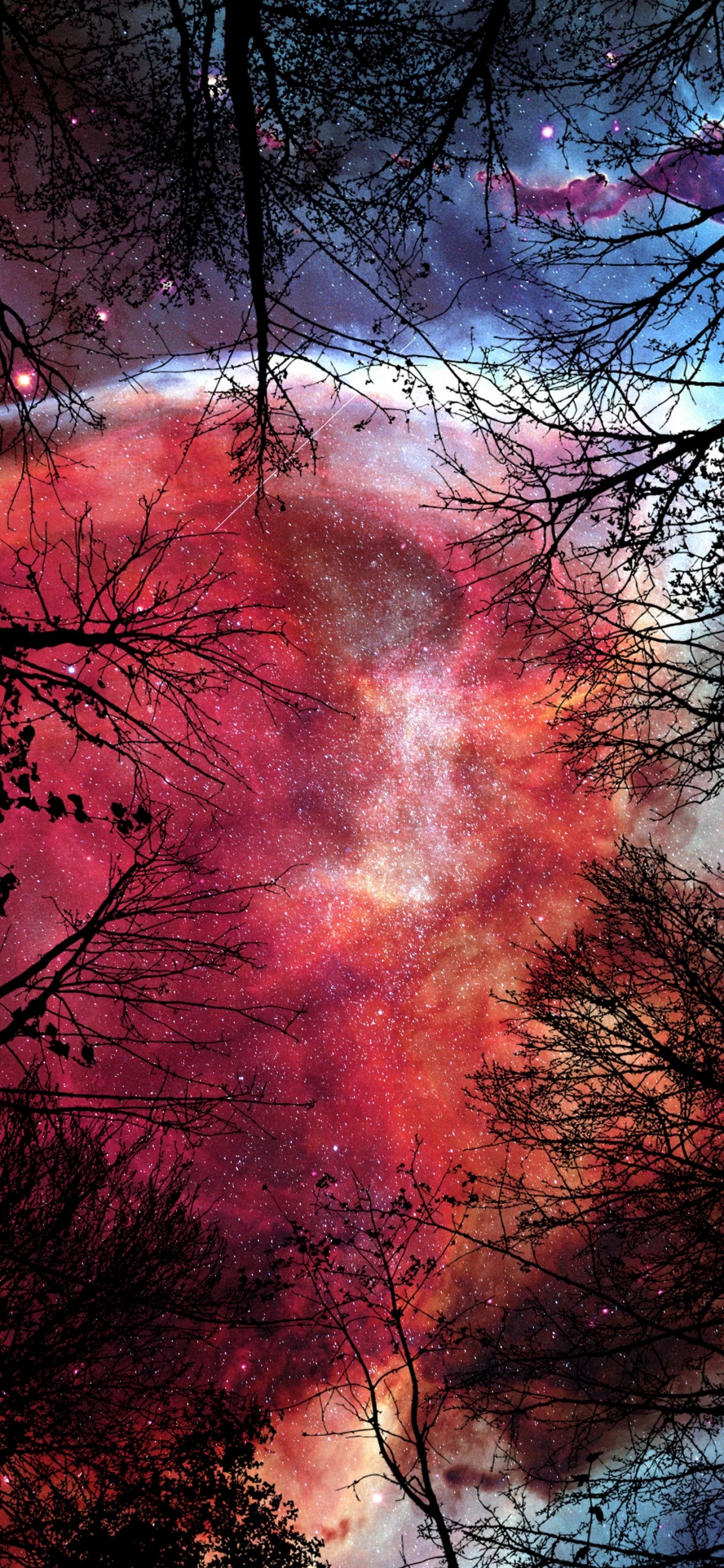 Обои природа, ключ цветности, атмосфера, природный ландшафт, мир в разрешении 1242x2688