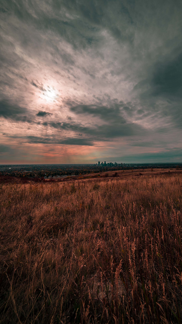 Обои облако, растение, атмосфера, природный ландшафт, сумрак в разрешении 750x1334