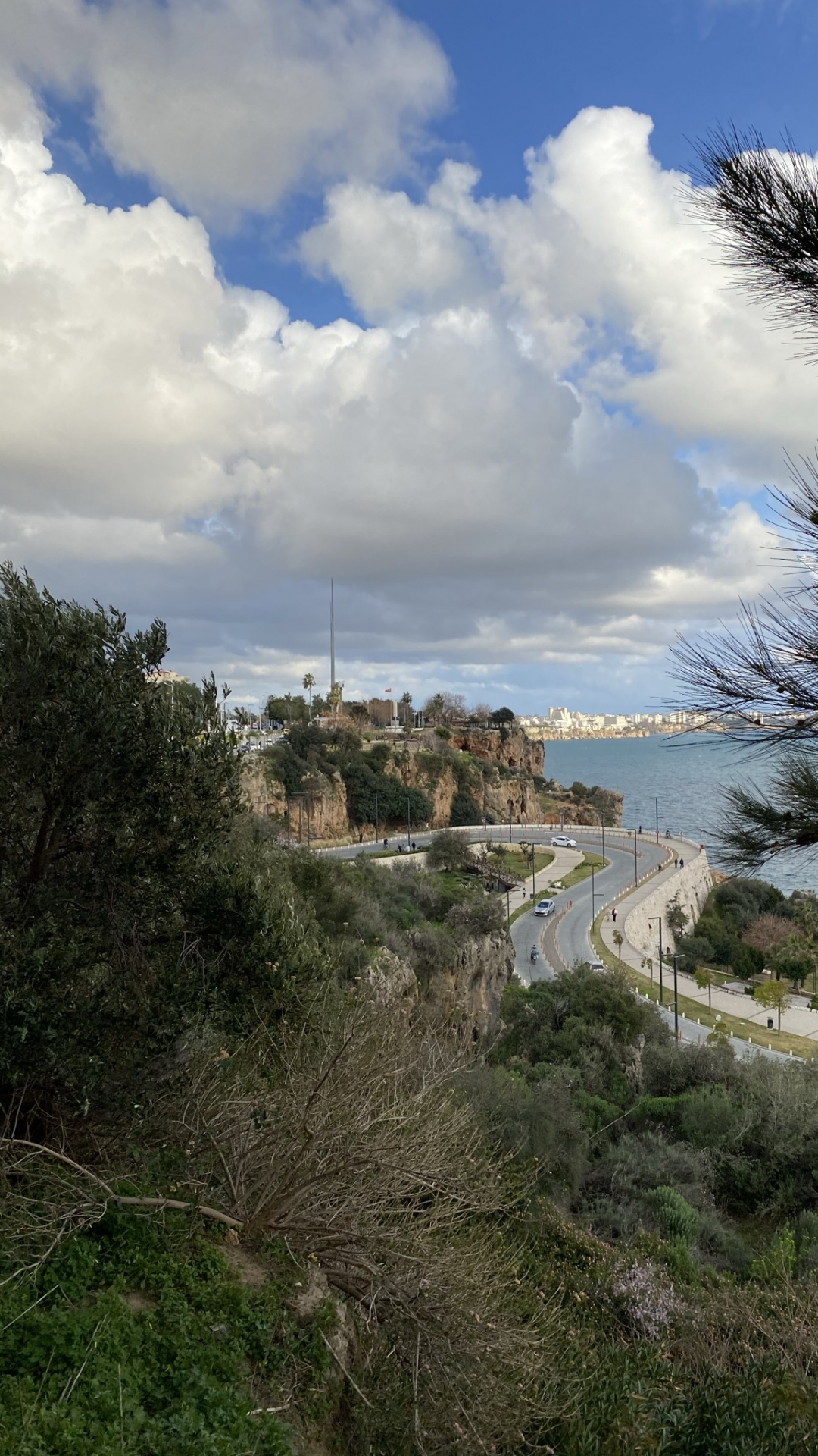 Обои местность, биология, наука, облако, растение в разрешении 1080x1920