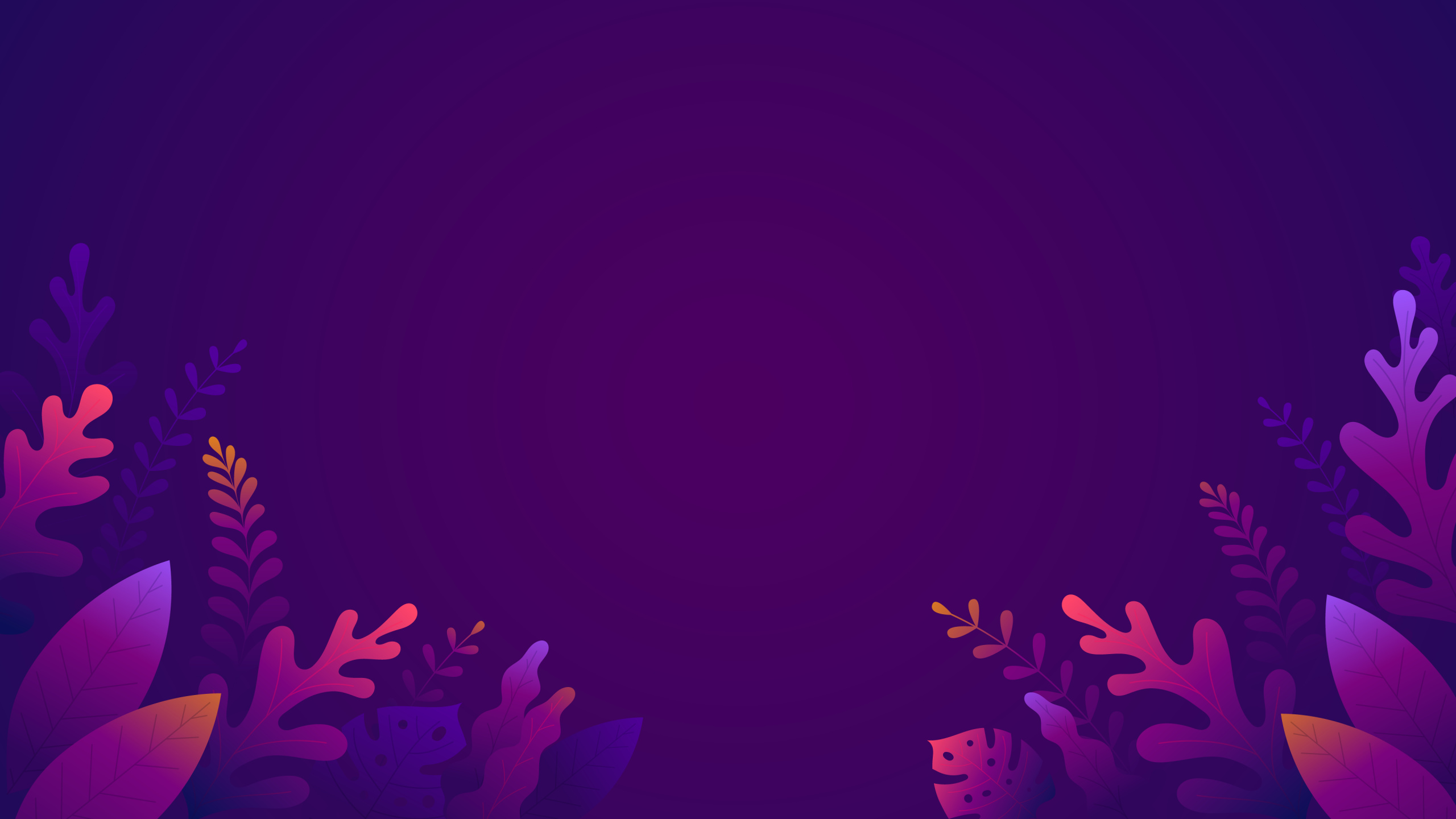 Обои растение, пурпур, лепесток, Фиолетовый, розовый в разрешении 2560x1440