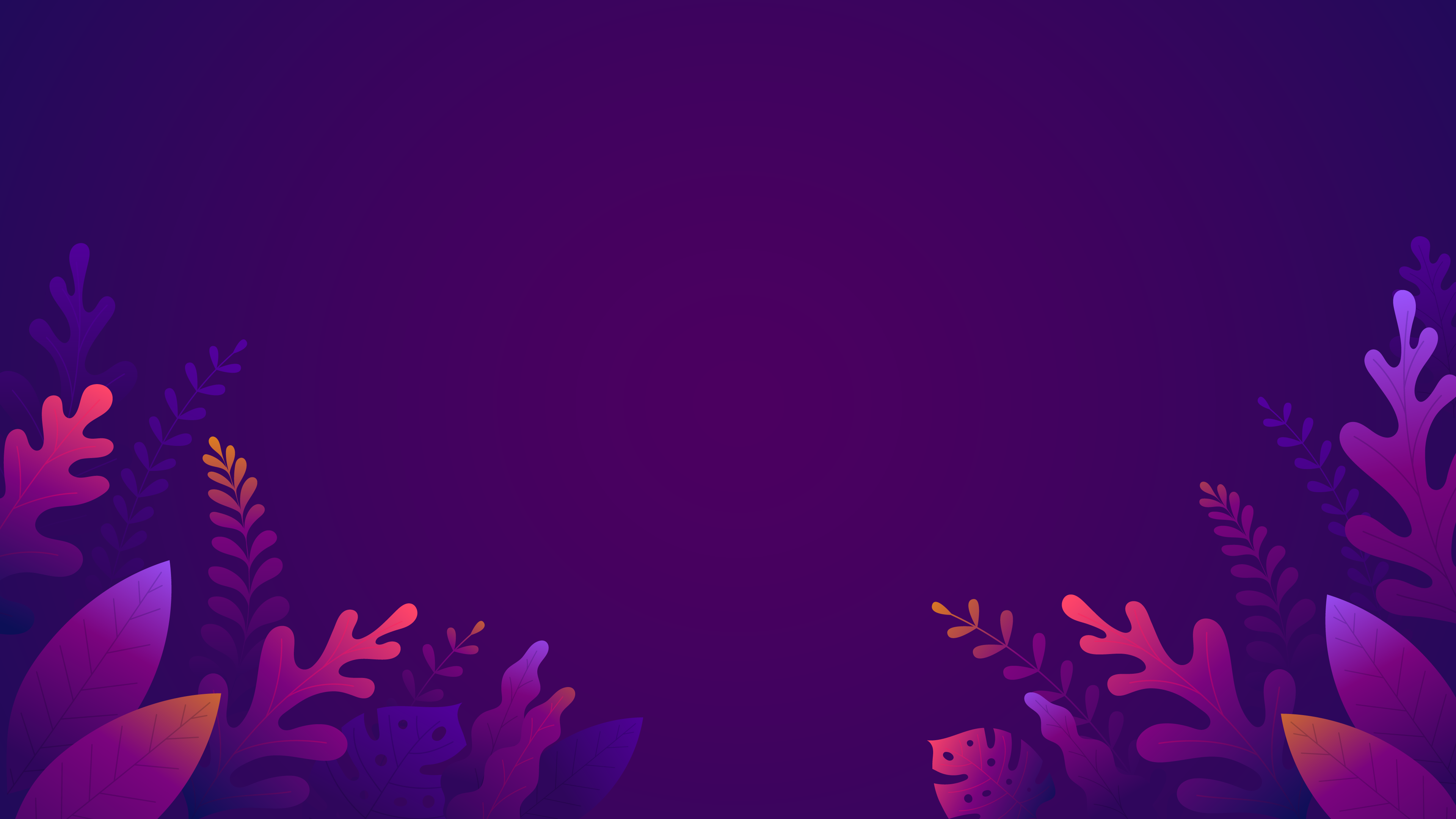 Обои растение, пурпур, лепесток, Фиолетовый, розовый в разрешении 3840x2160