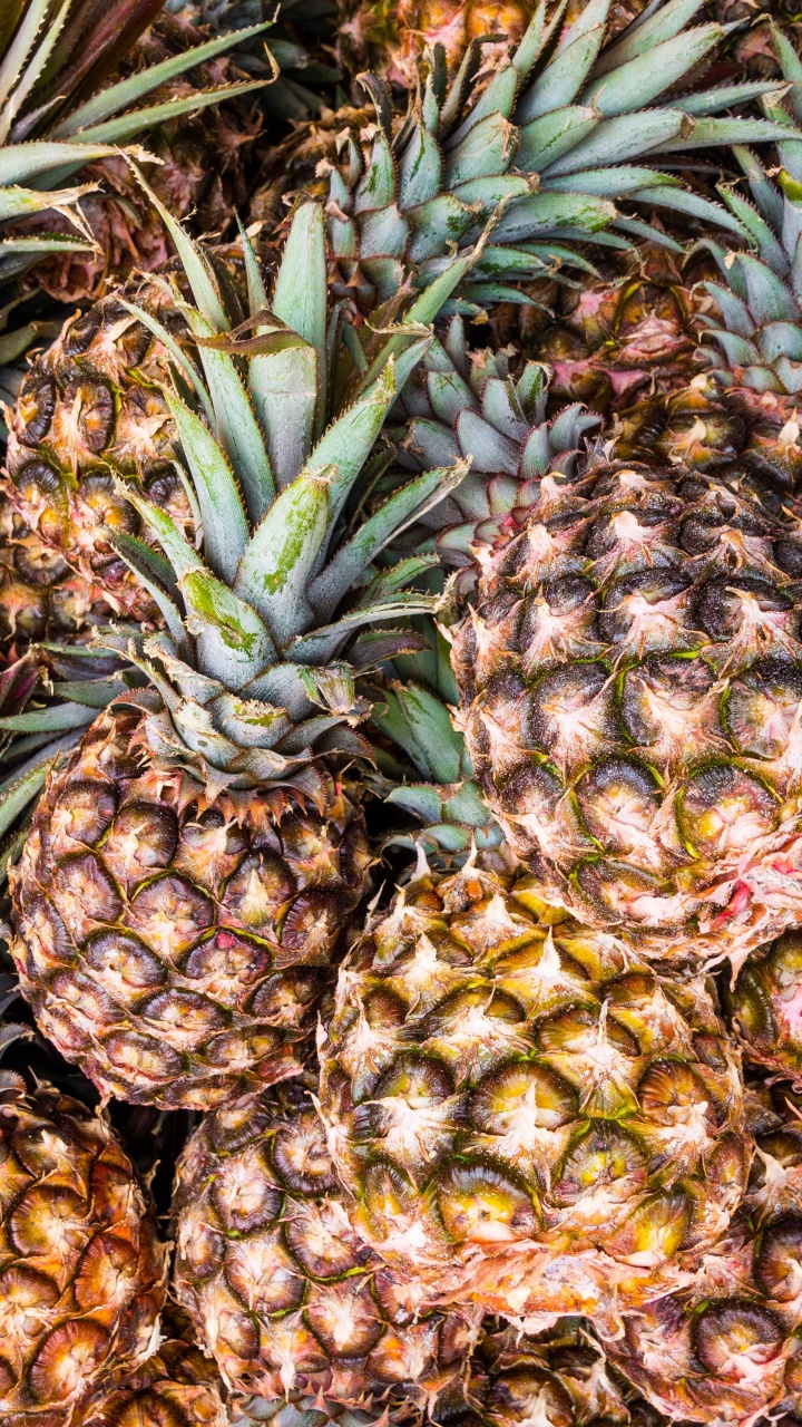 Обои ананас, фрукты, природные продукты, растение, пища в разрешении 720x1280