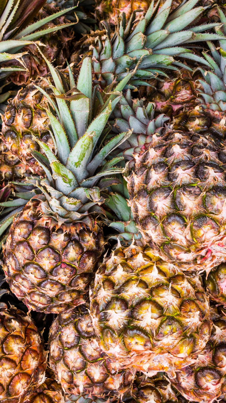 Обои ананас, фрукты, природные продукты, растение, пища в разрешении 750x1334