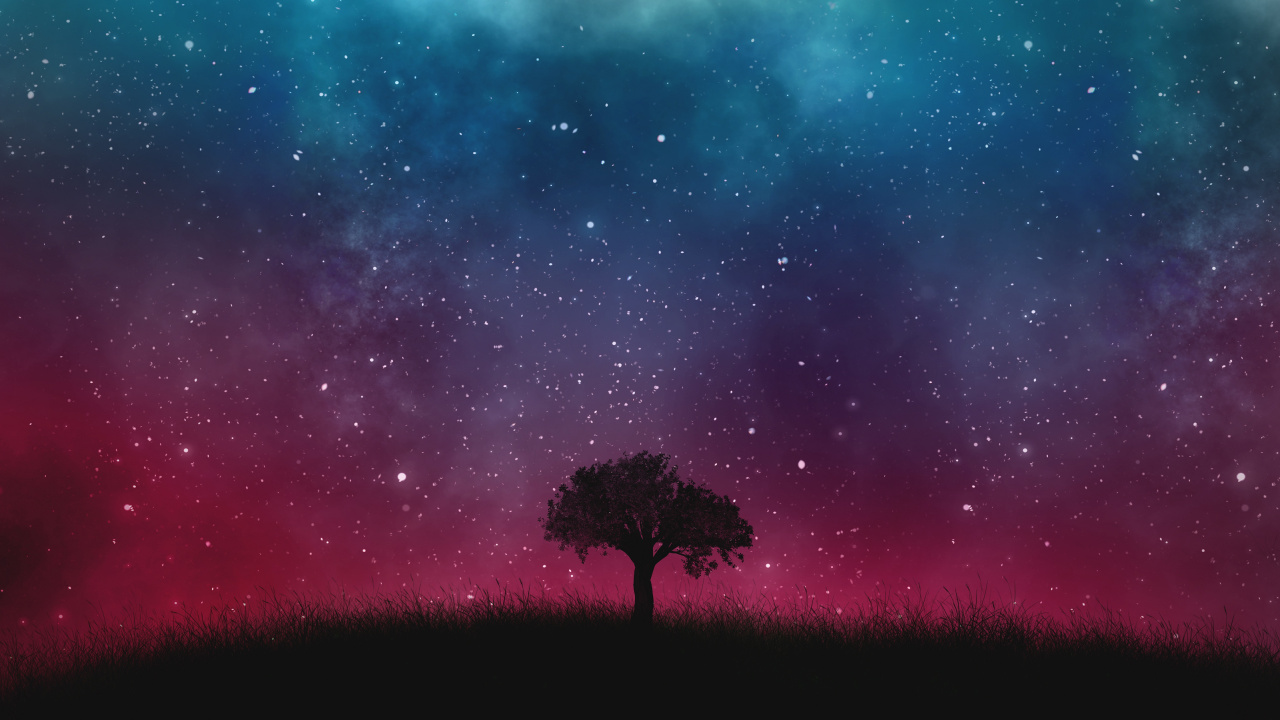 Обои дерево, природа, атмосфера, ночь, Аврора в разрешении 1280x720