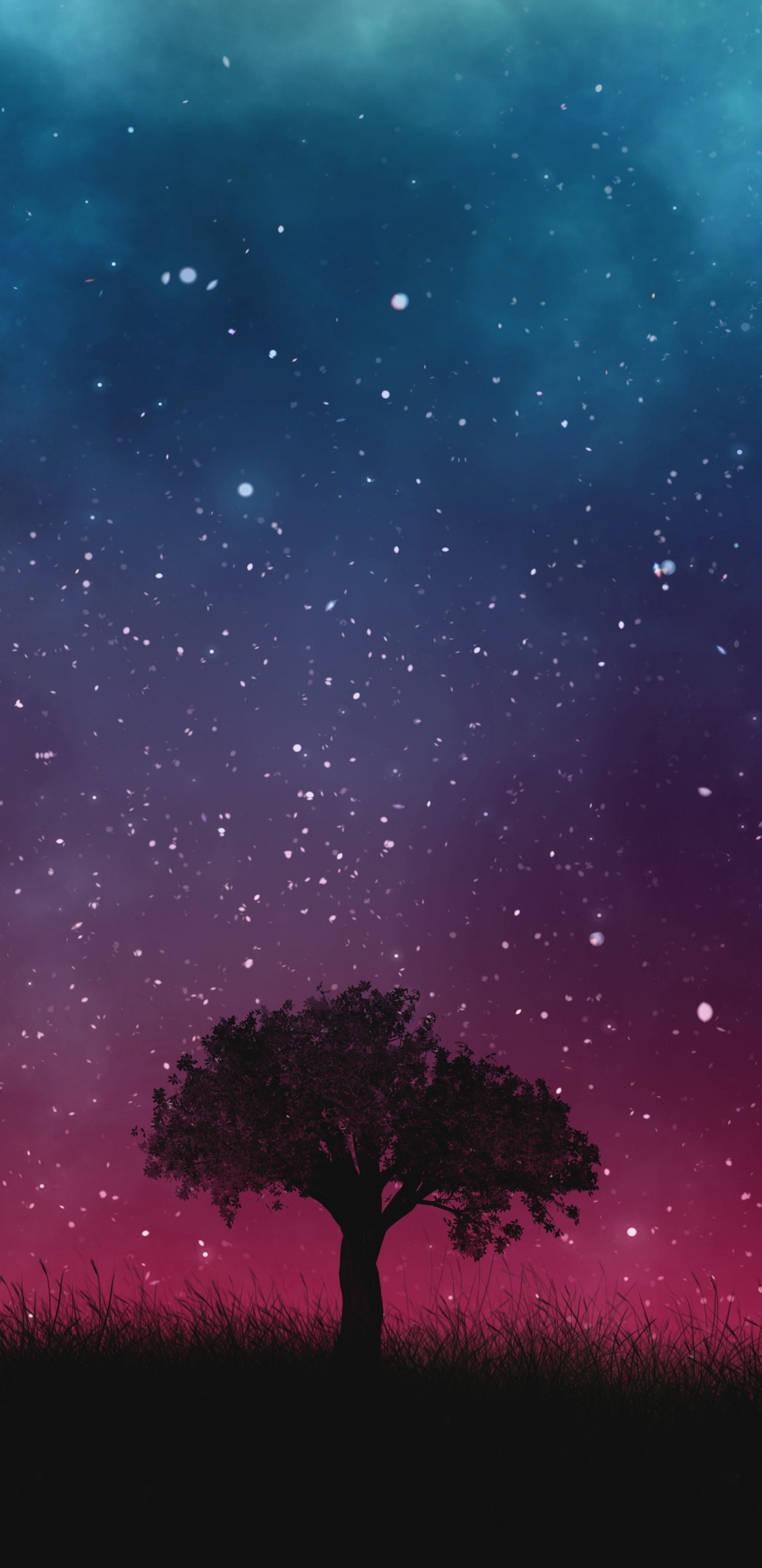 Обои дерево, природа, атмосфера, ночь, Аврора в разрешении 1440x2960