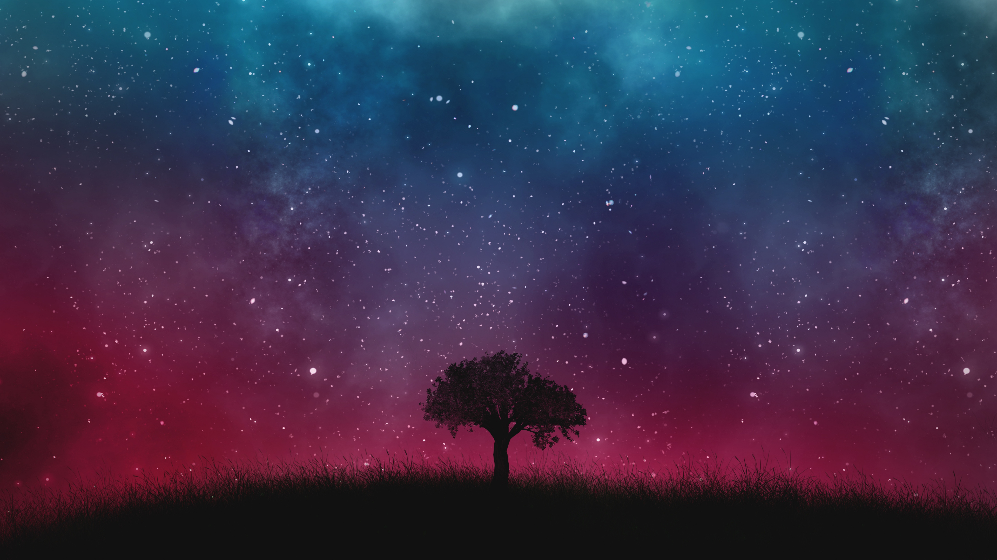 Обои дерево, природа, атмосфера, ночь, Аврора в разрешении 3840x2160