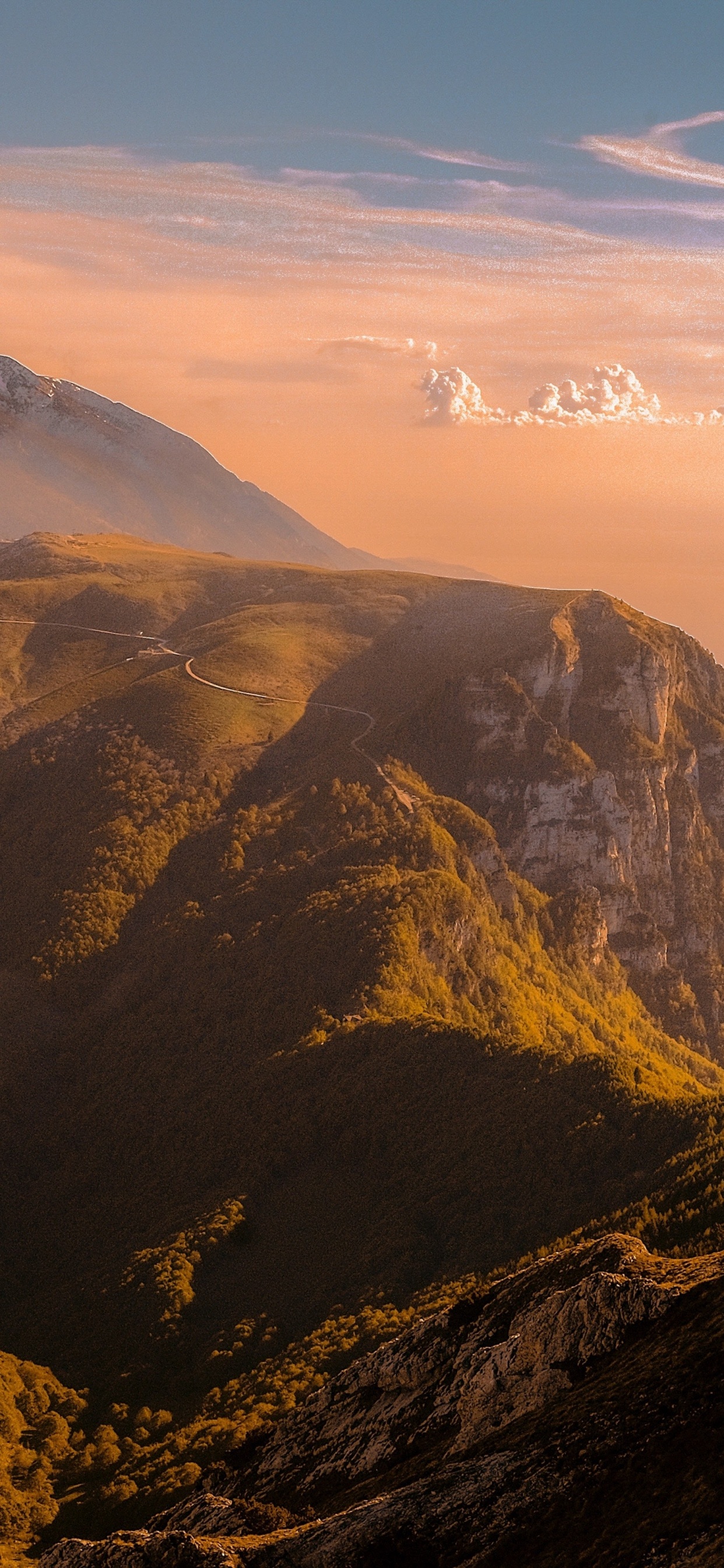 Обои apple, iPhone, iPhone X, яблоко, преамбула щуки в разрешении 1242x2688