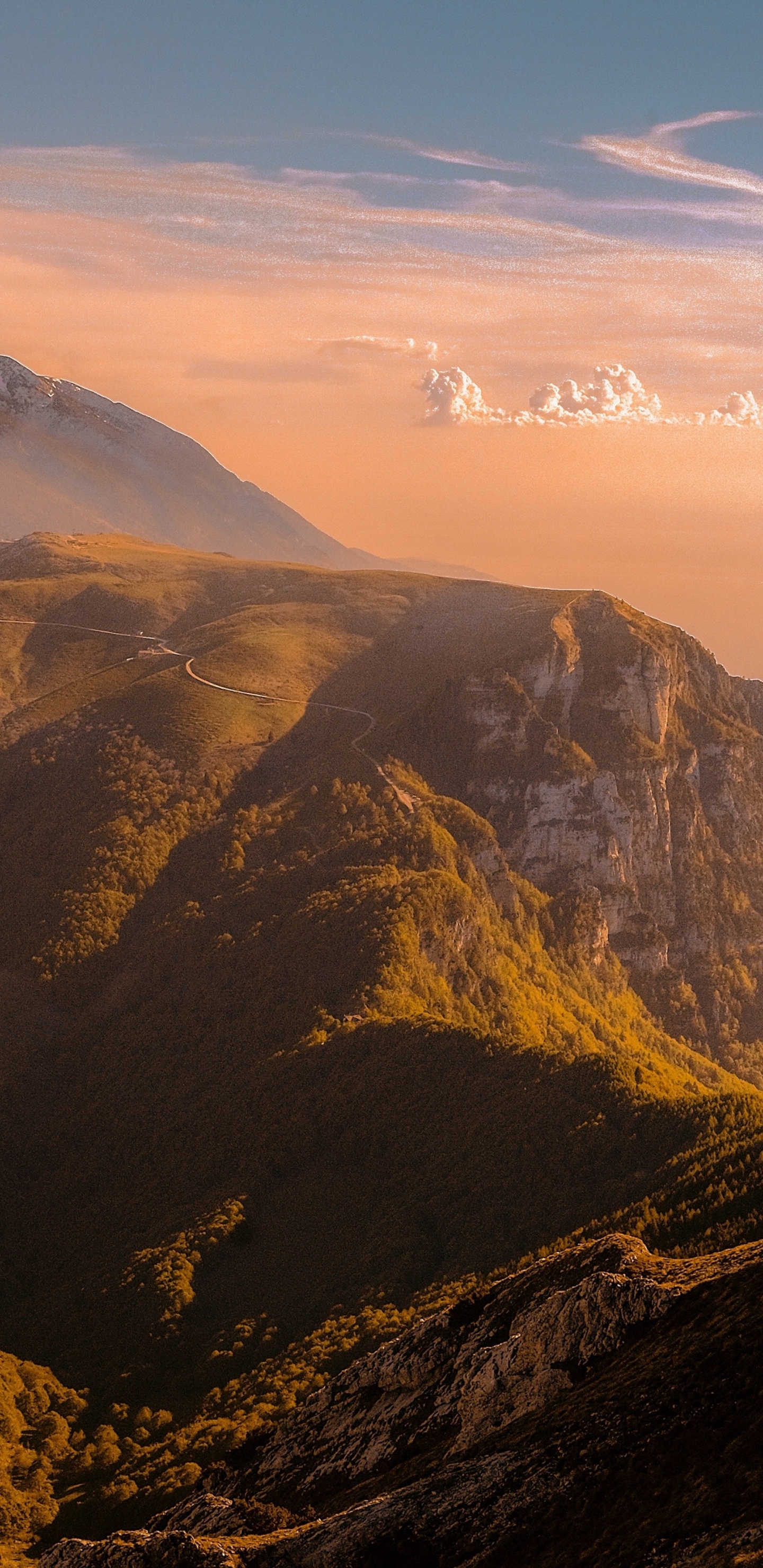 Обои apple, iPhone, iPhone X, яблоко, преамбула щуки в разрешении 1440x2960