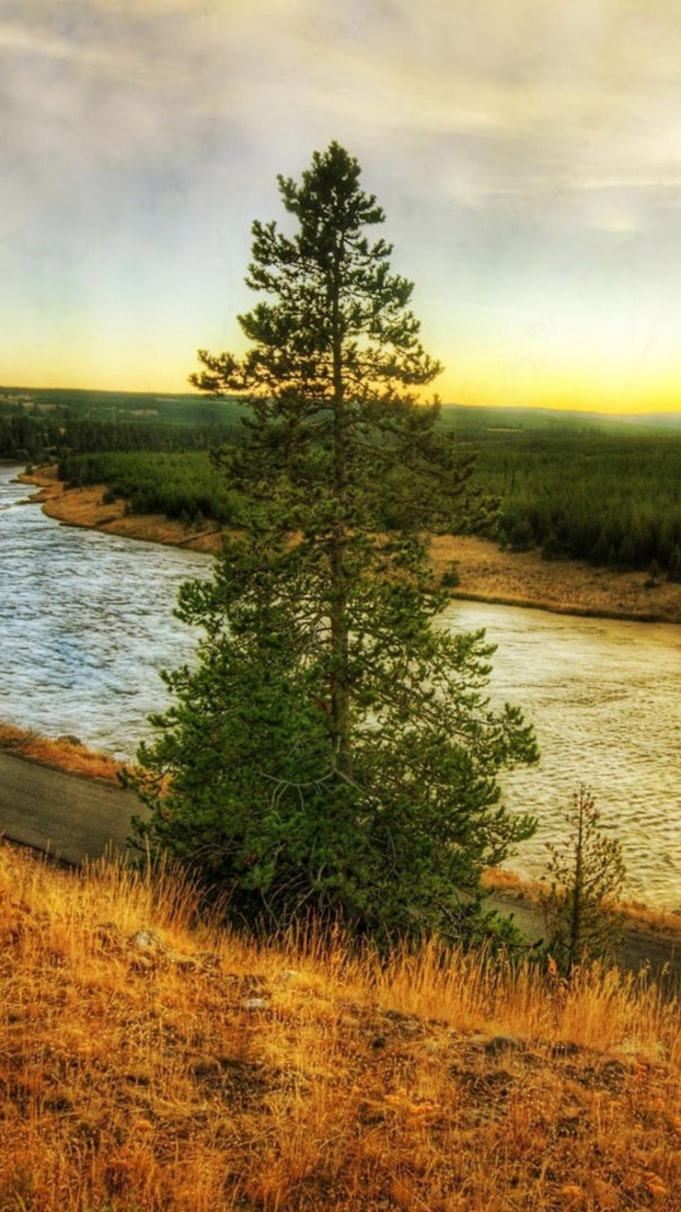 Обои природа, вода, утро, отражение, небо в разрешении 750x1334