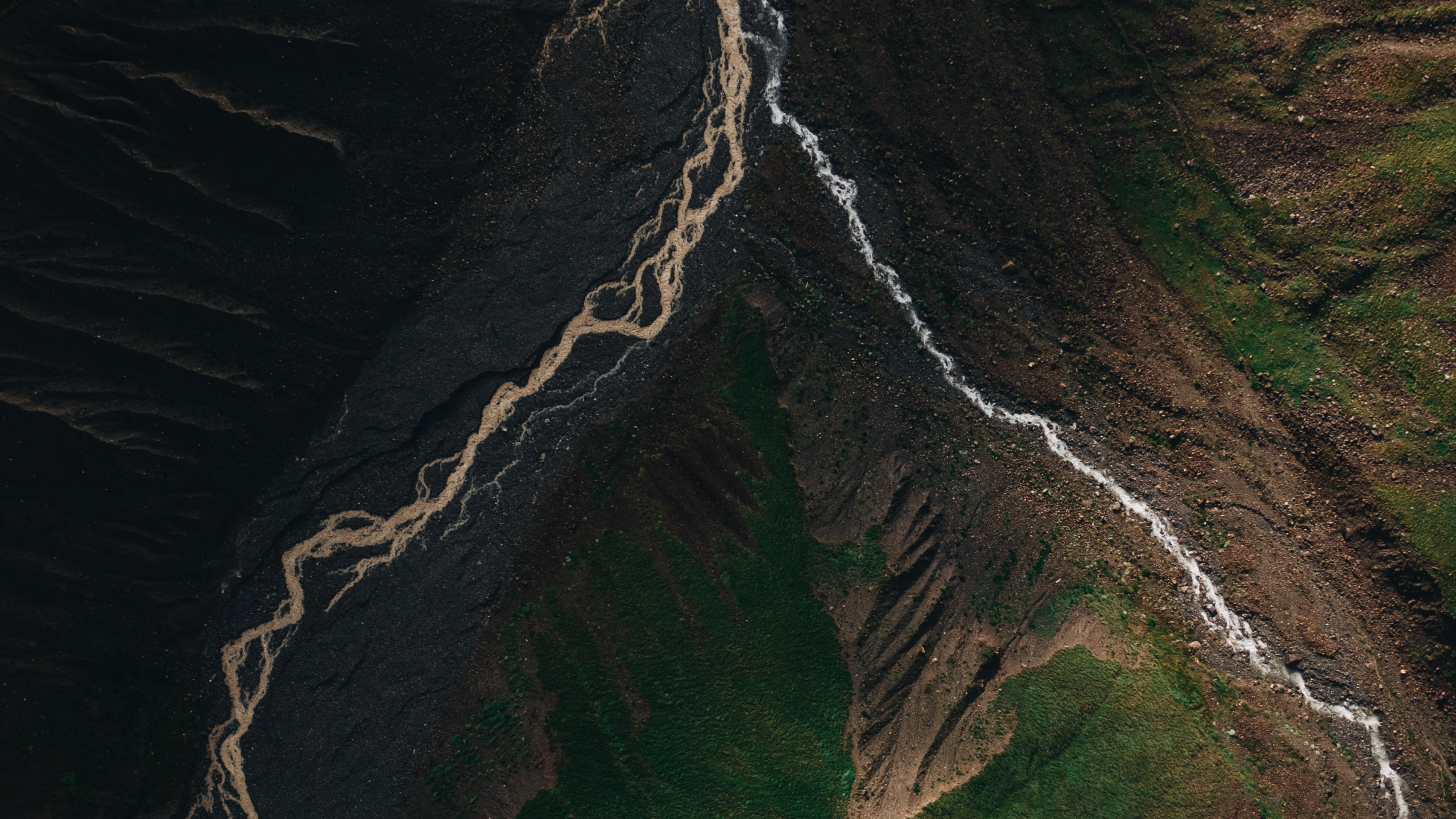 Обои вода, земля, арт, андроид, древесина в разрешении 2560x1440