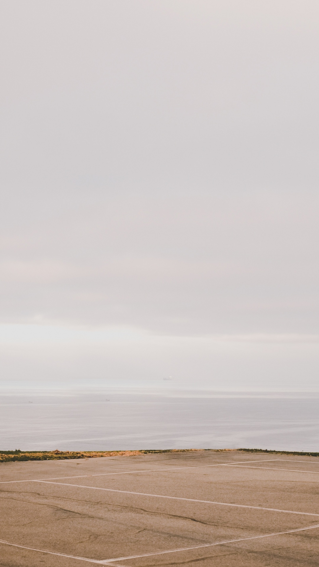 Обои пейзаж, баскетбольная площадка, дерево, спортивные объекты, уличный фонарь в разрешении 1080x1920