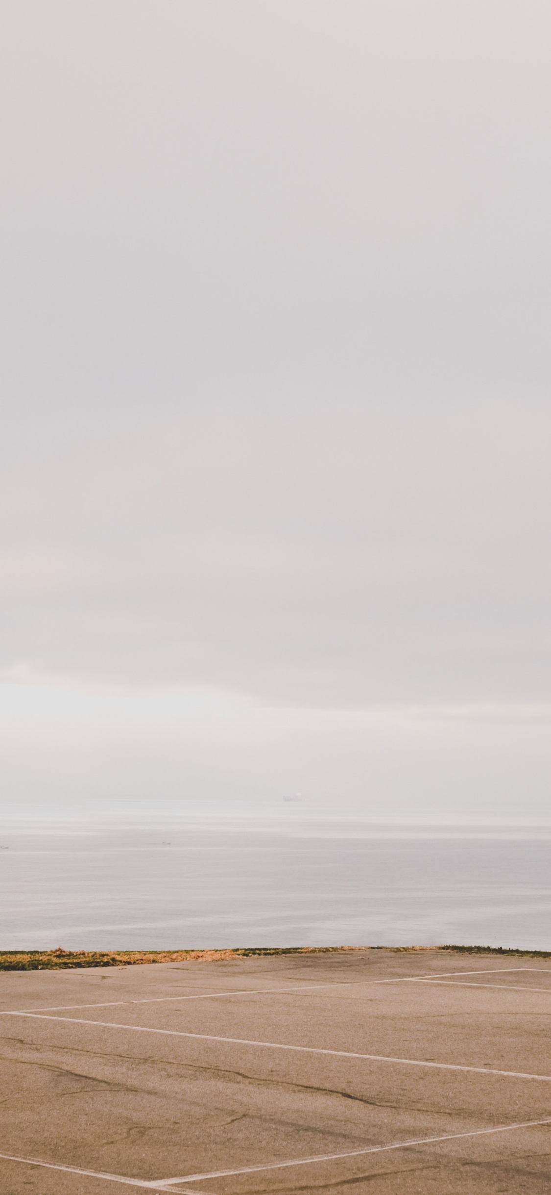 Обои пейзаж, баскетбольная площадка, дерево, спортивные объекты, уличный фонарь в разрешении 1125x2436