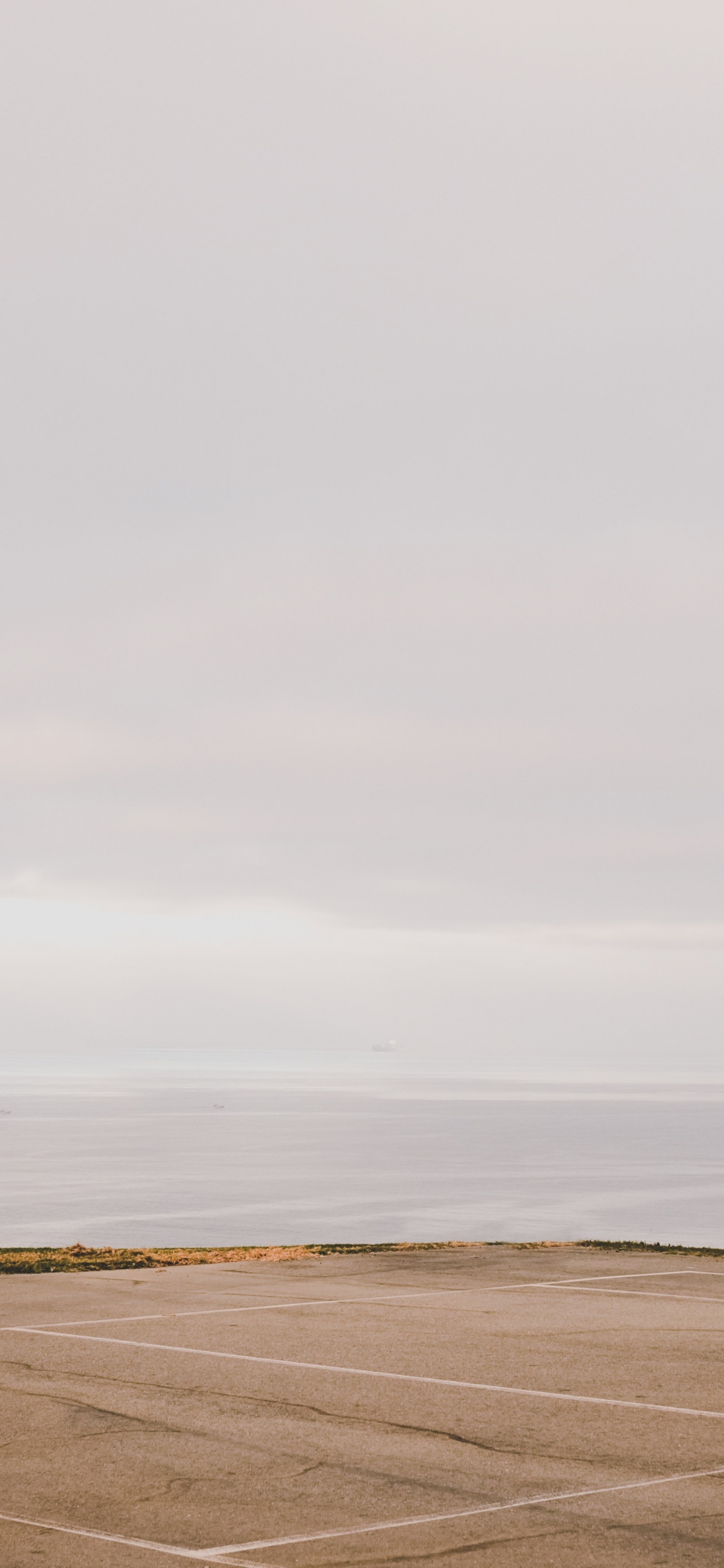 Обои пейзаж, баскетбольная площадка, дерево, спортивные объекты, уличный фонарь в разрешении 1242x2688