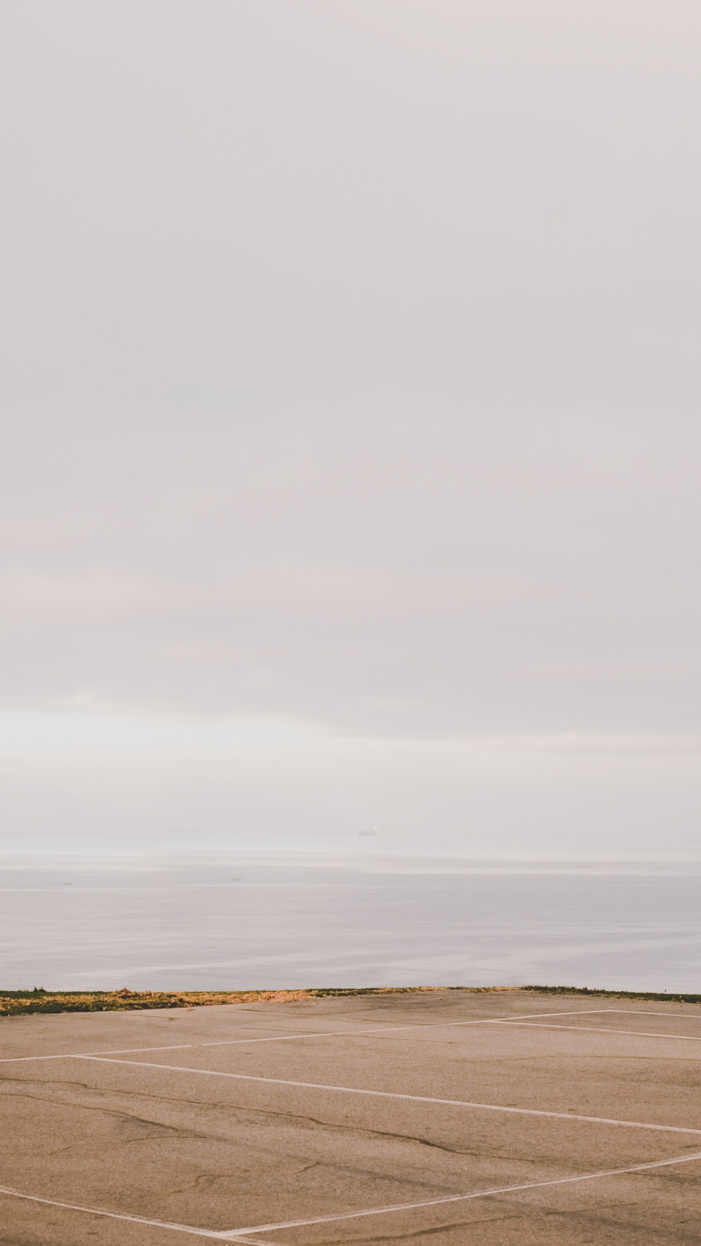 Обои пейзаж, баскетбольная площадка, дерево, спортивные объекты, уличный фонарь в разрешении 1440x2560