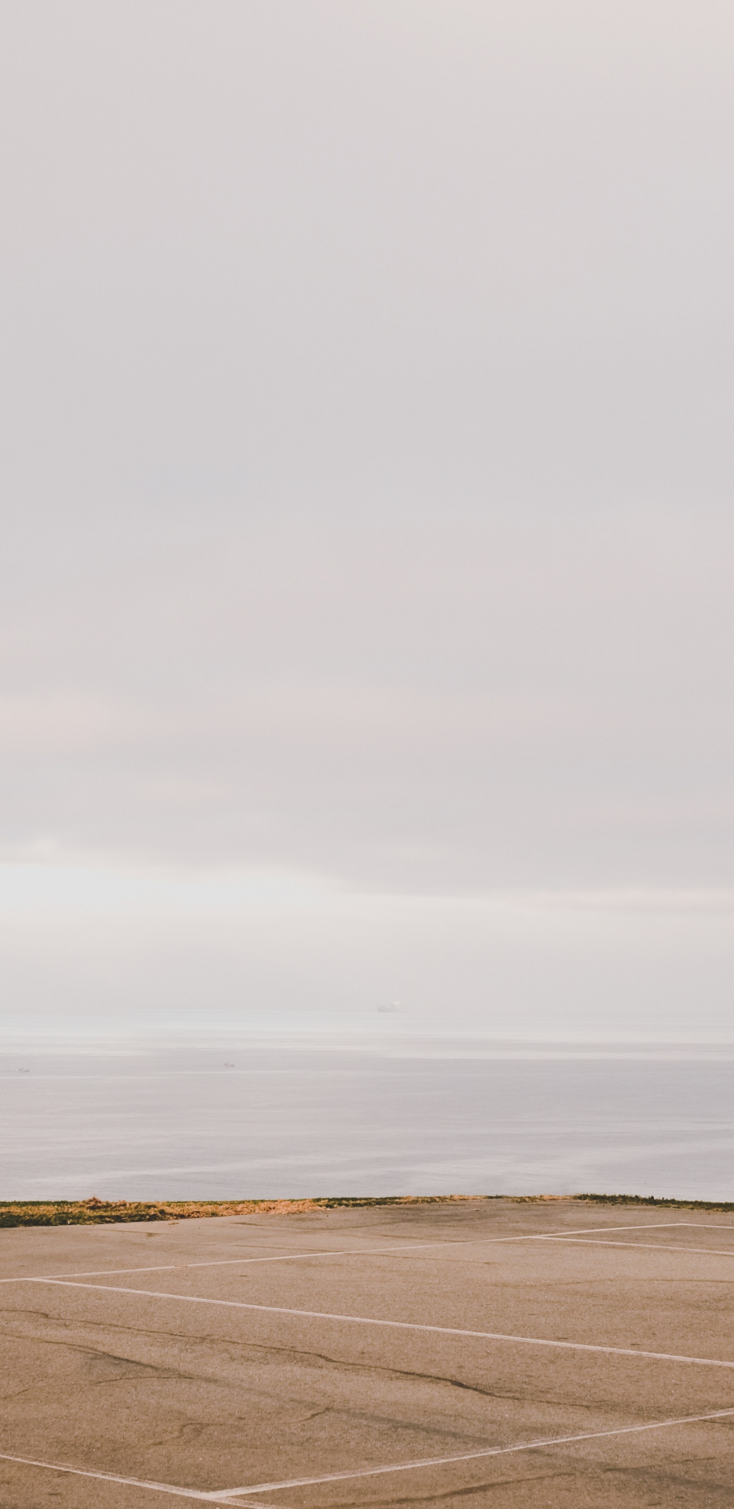 Обои пейзаж, баскетбольная площадка, дерево, спортивные объекты, уличный фонарь в разрешении 1440x2960