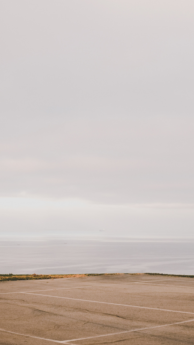 Обои пейзаж, баскетбольная площадка, дерево, спортивные объекты, уличный фонарь в разрешении 750x1334