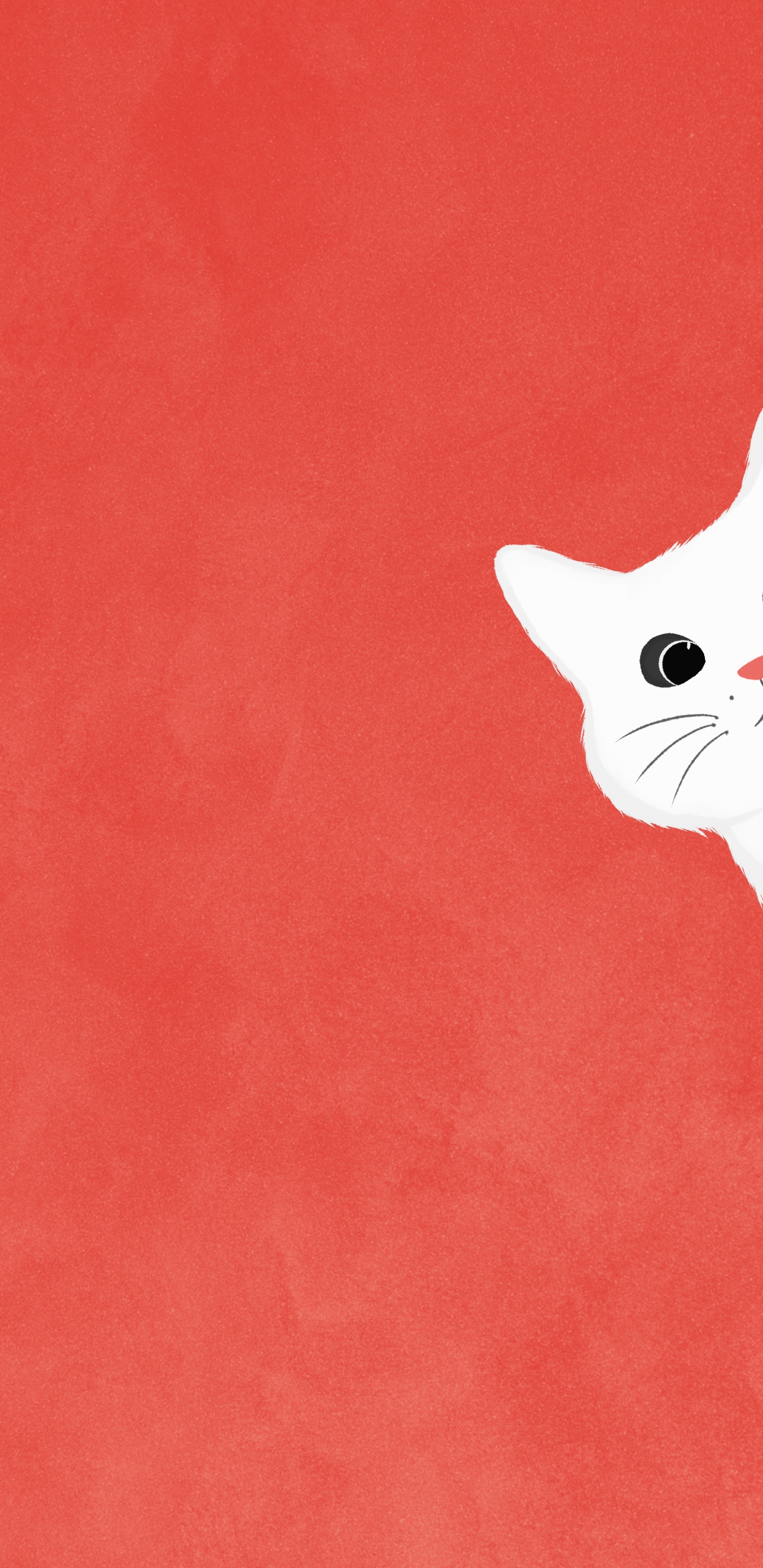 Обои кот, кошачьих, кошки малого и среднего размера, бакенбарды, хвост в разрешении 1440x2960