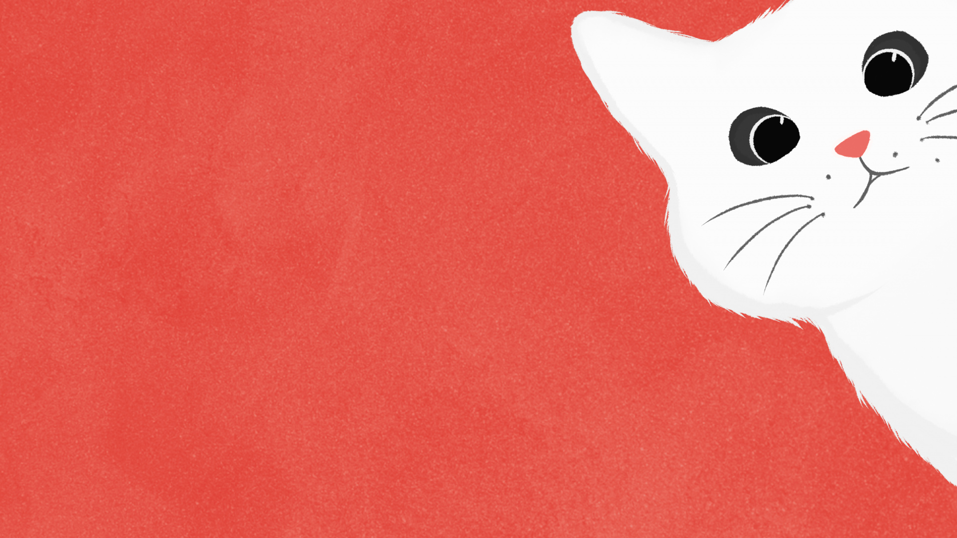 Обои кот, кошачьих, кошки малого и среднего размера, бакенбарды, хвост в разрешении 1920x1080