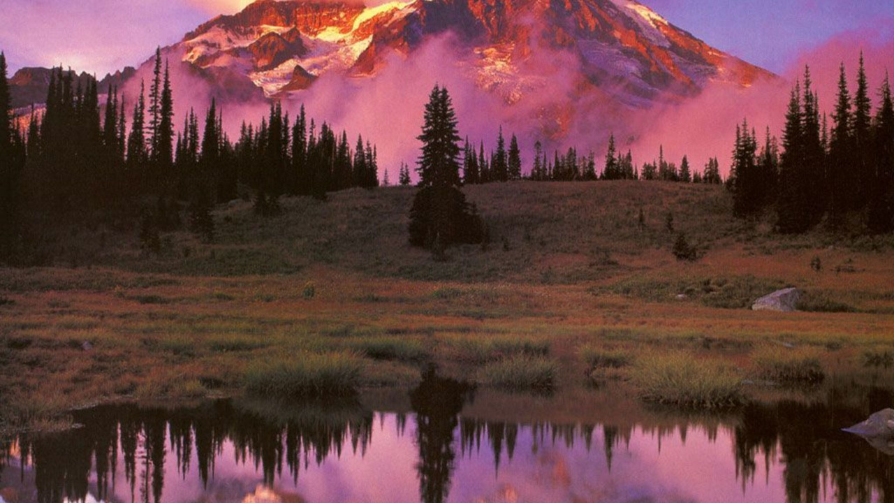 Обои Маунт рейнир, гора, природа, отражение, дикая местность в разрешении 1280x720