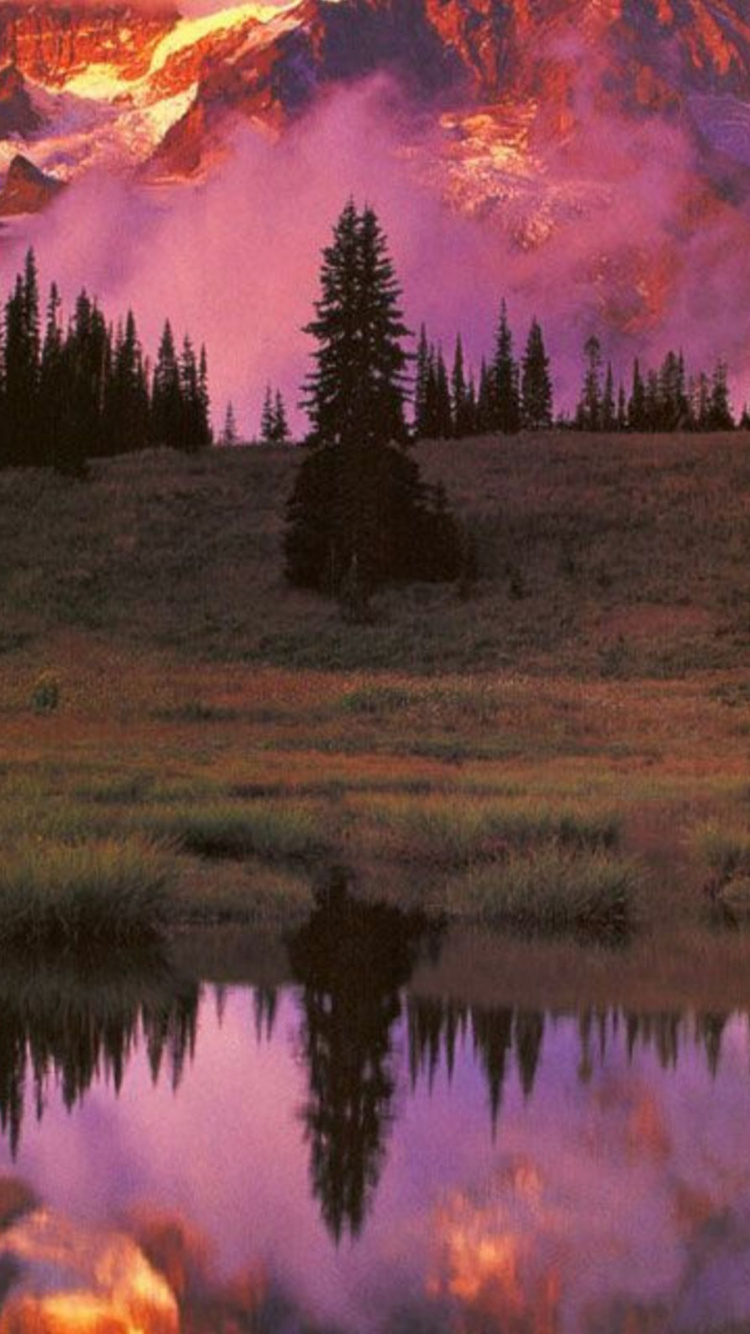 Обои Маунт рейнир, гора, природа, отражение, дикая местность в разрешении 750x1334