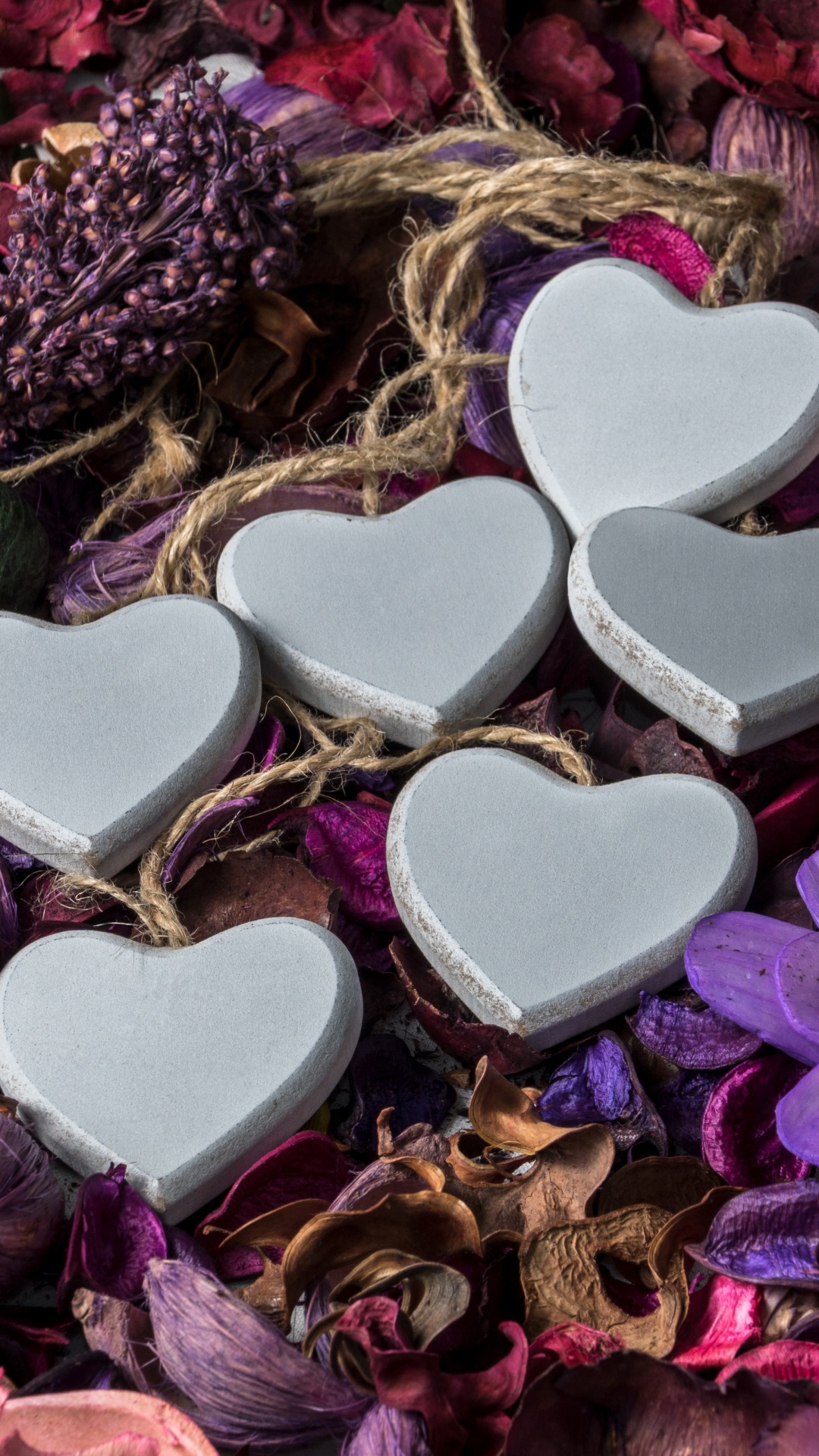 Обои День Святого Валентина, пурпур, сердце, Фиолетовый, лепесток в разрешении 1080x1920