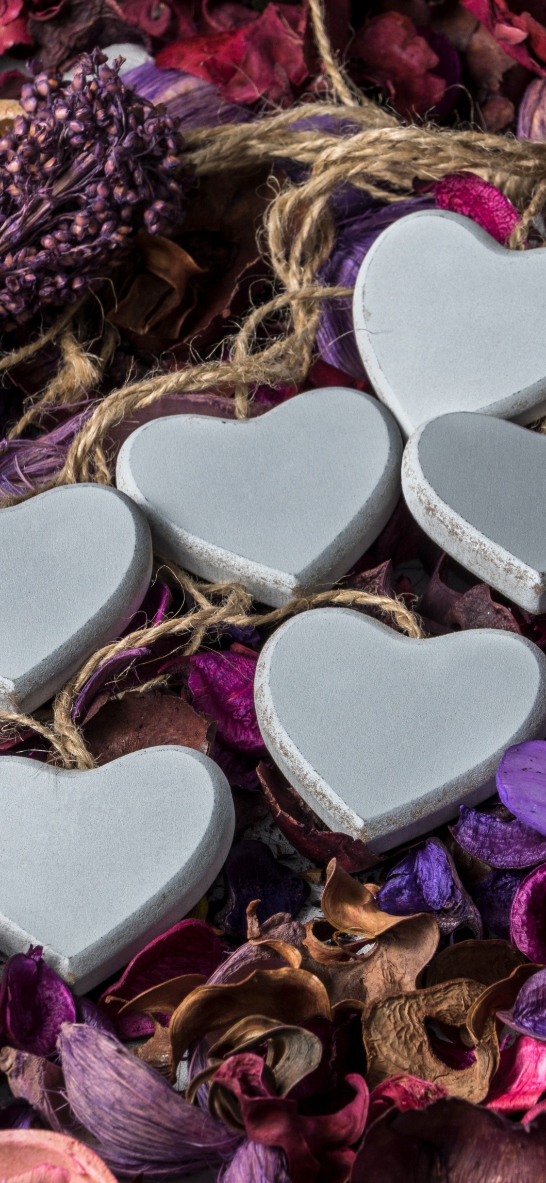 Обои День Святого Валентина, пурпур, сердце, Фиолетовый, лепесток в разрешении 1125x2436