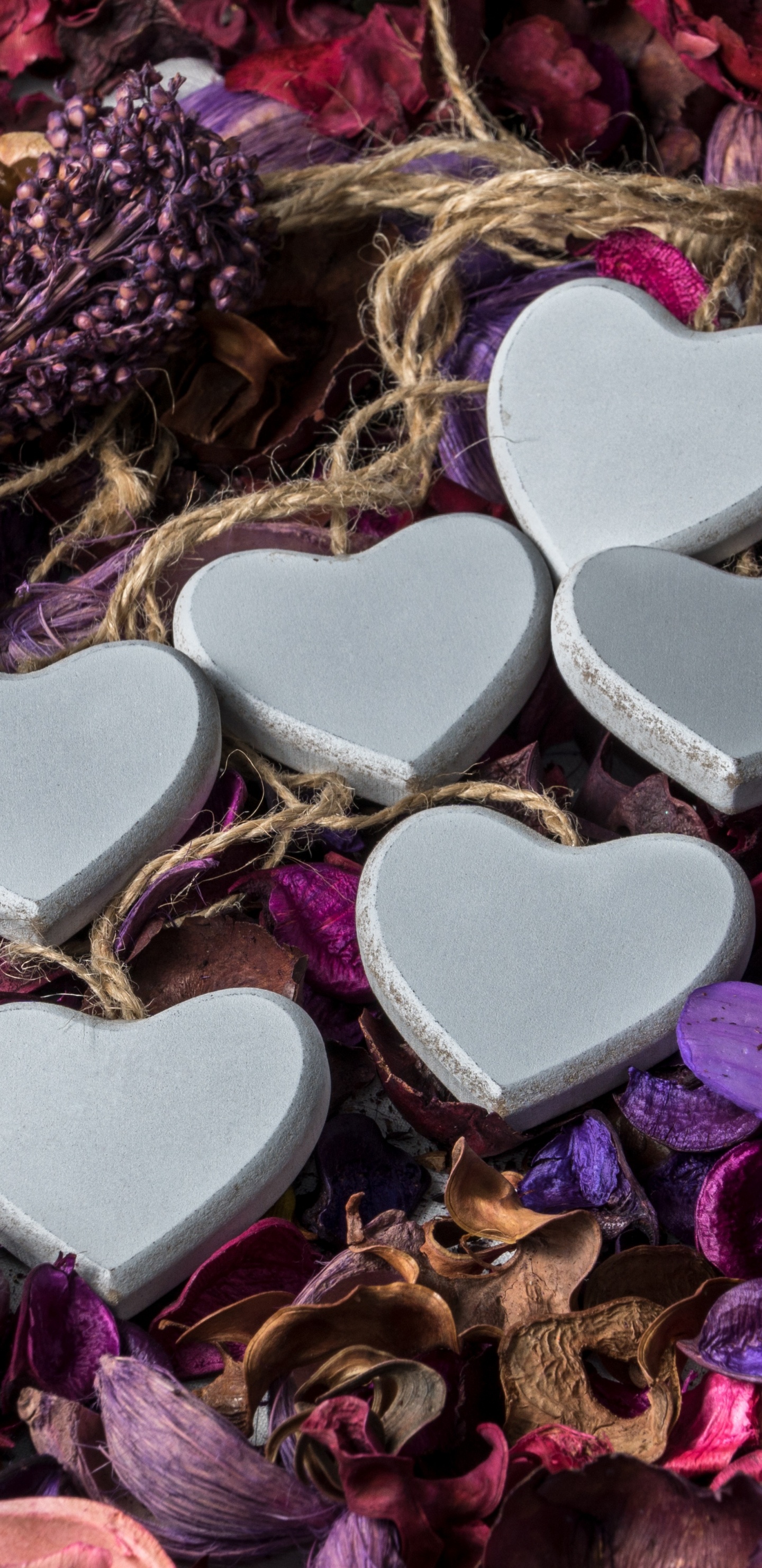 Обои День Святого Валентина, пурпур, сердце, Фиолетовый, лепесток в разрешении 1440x2960